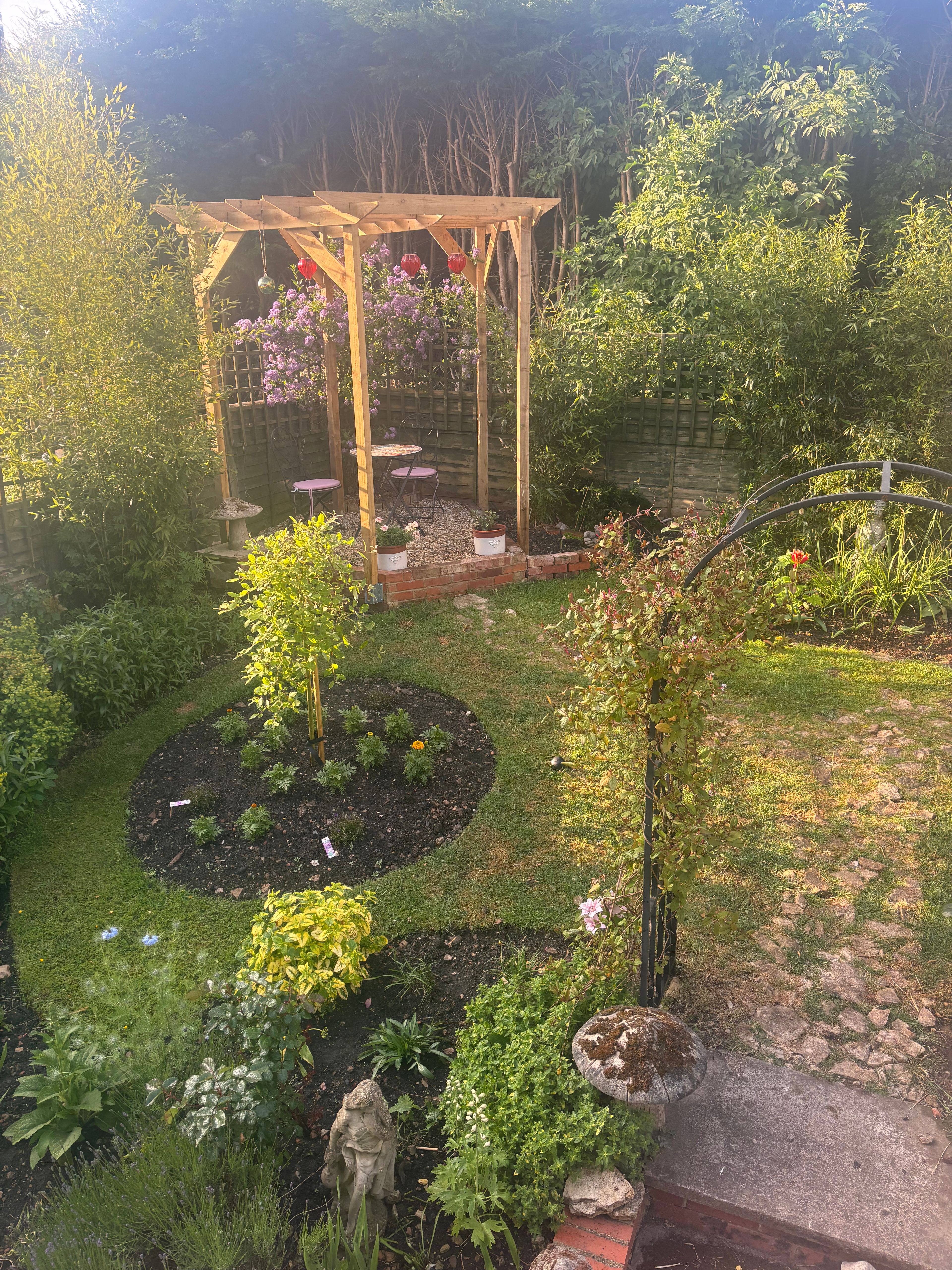 image-7