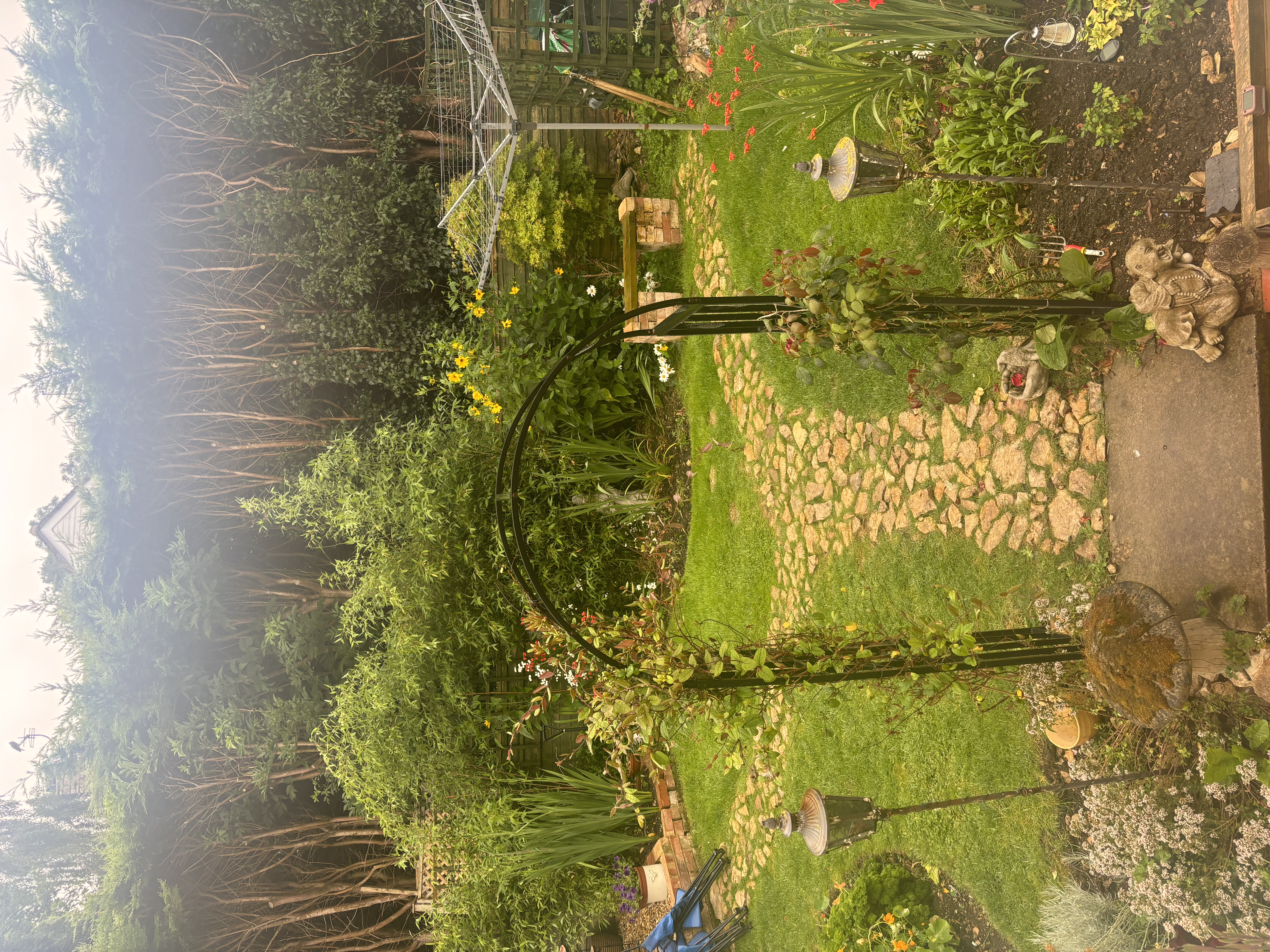 image-11