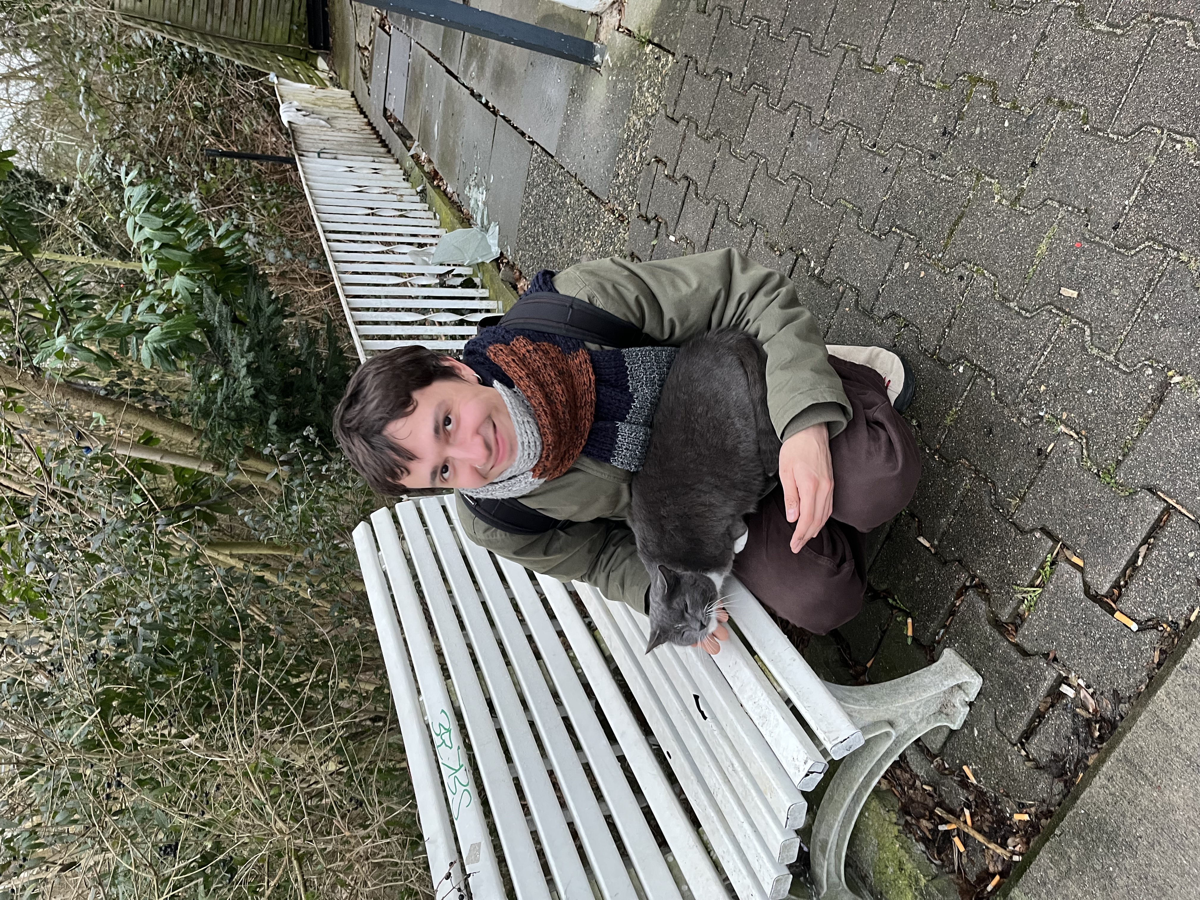 image-7