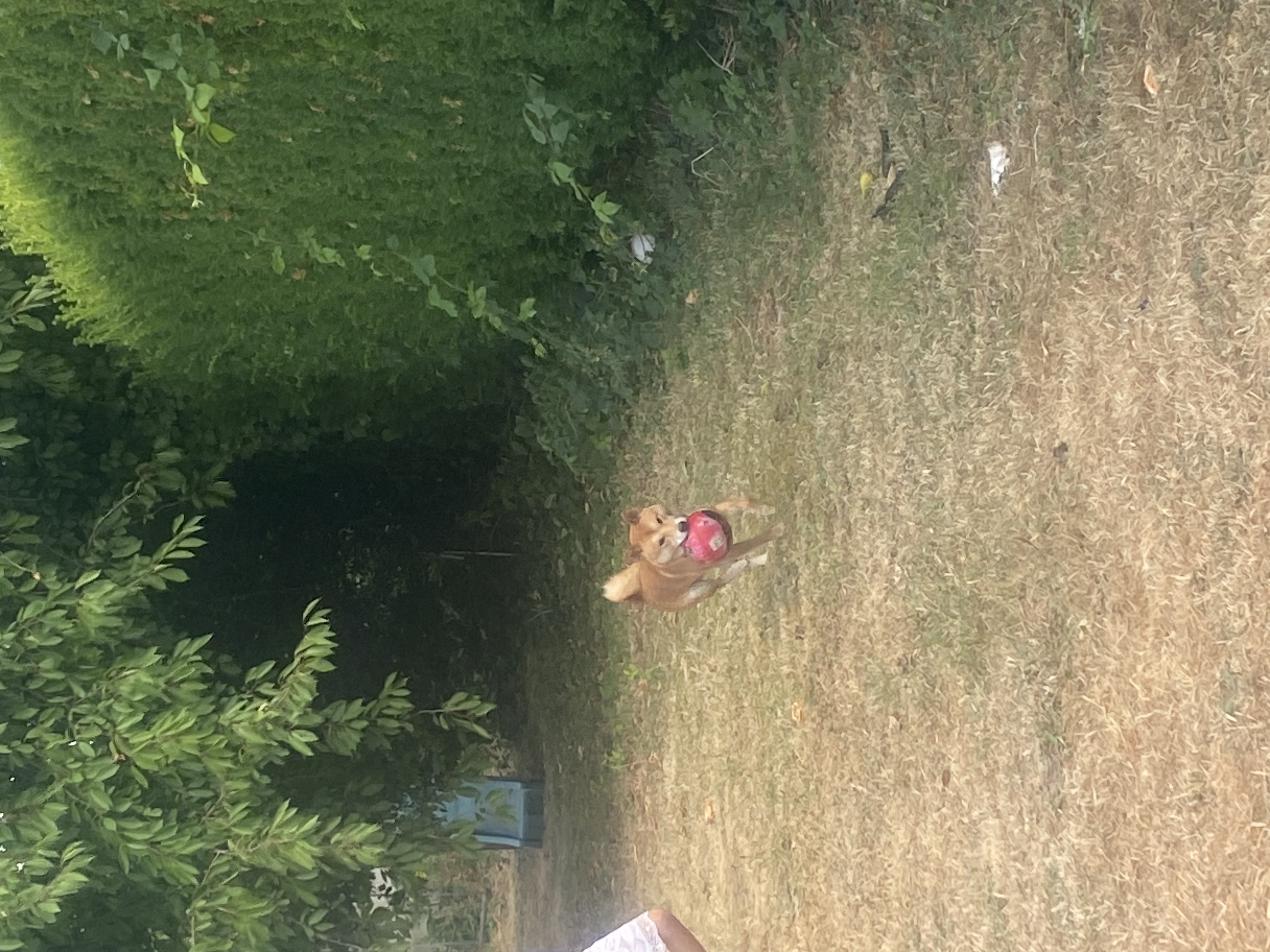 image-6
