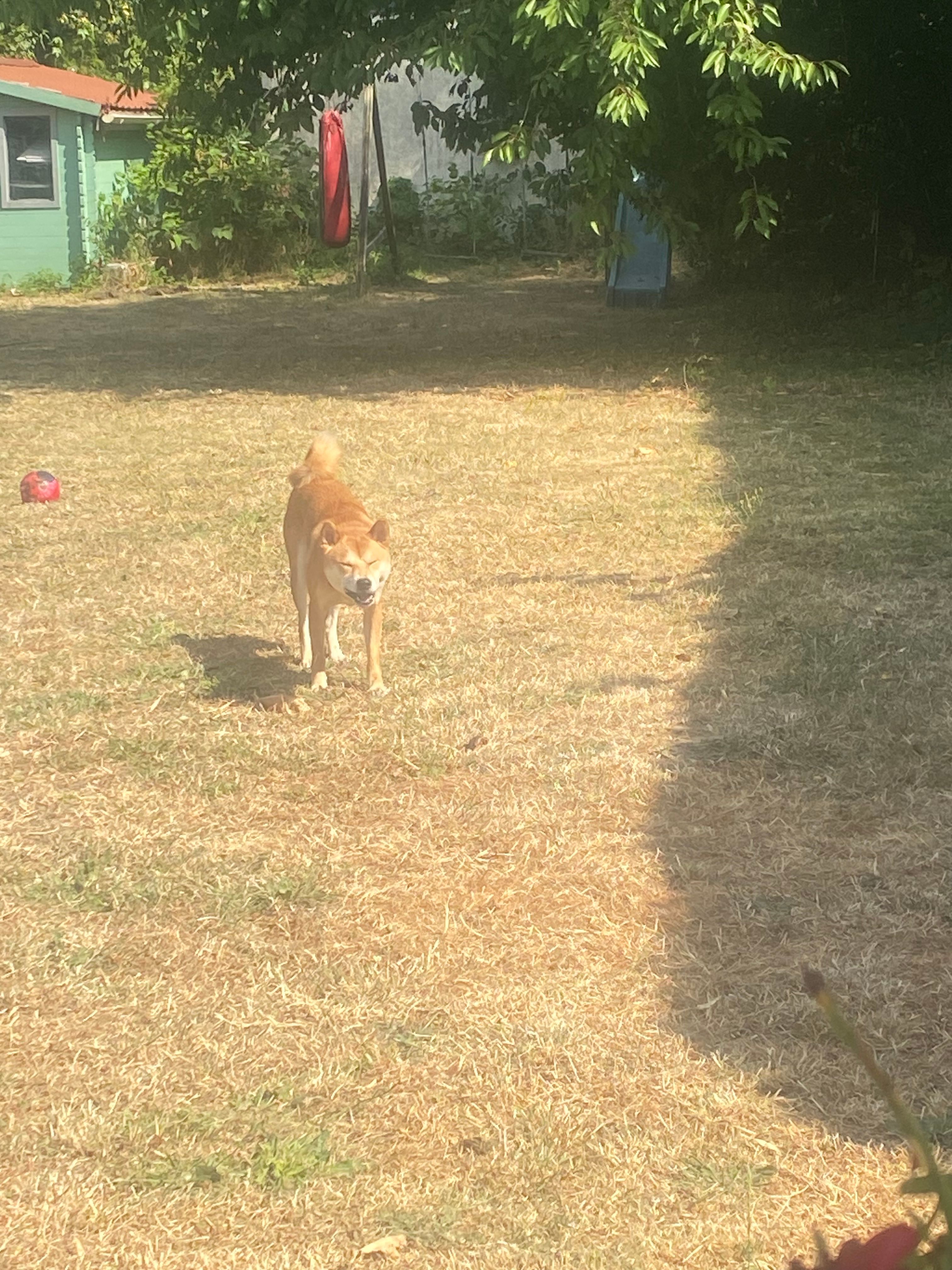 image-5