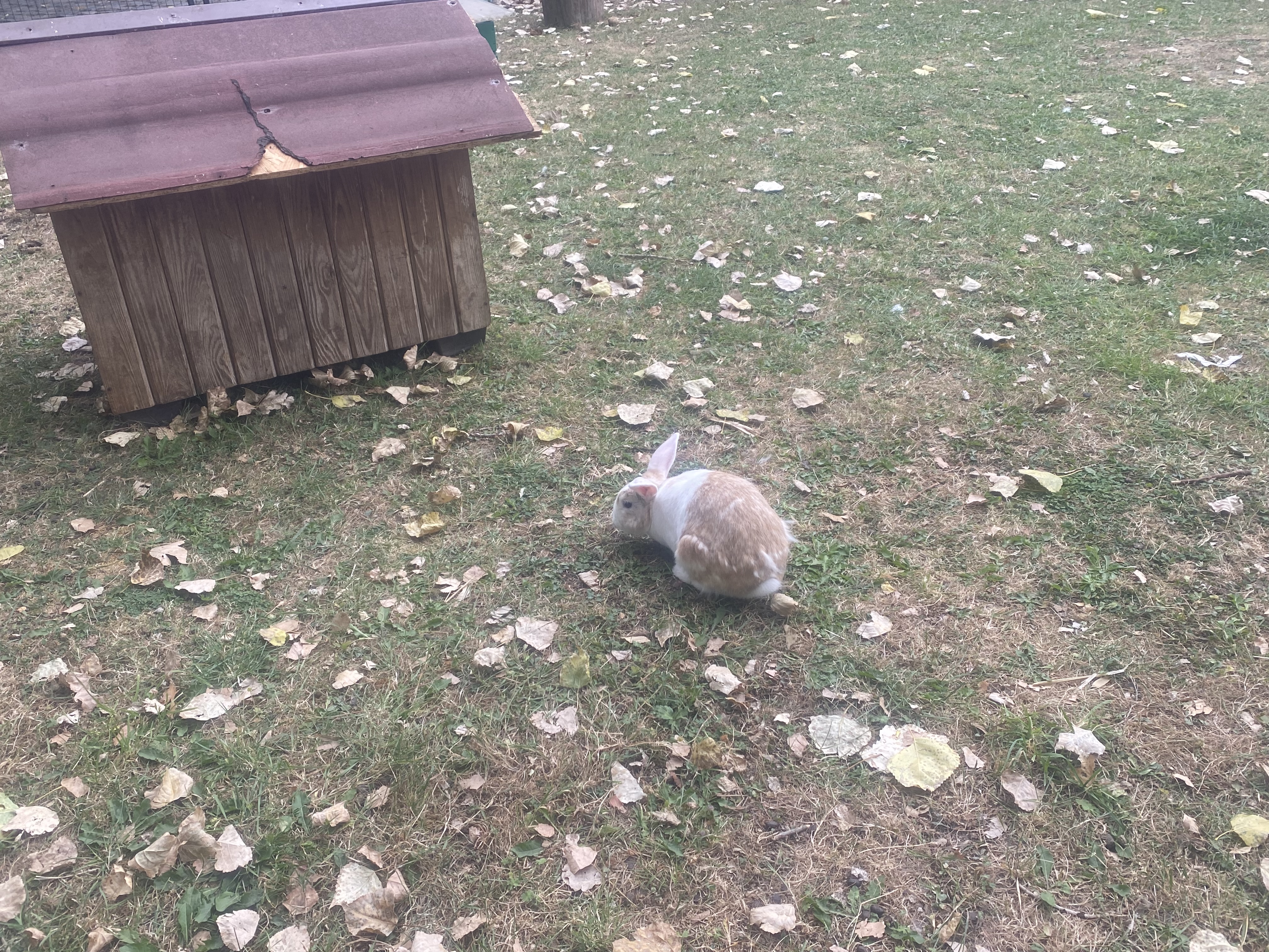 image-22