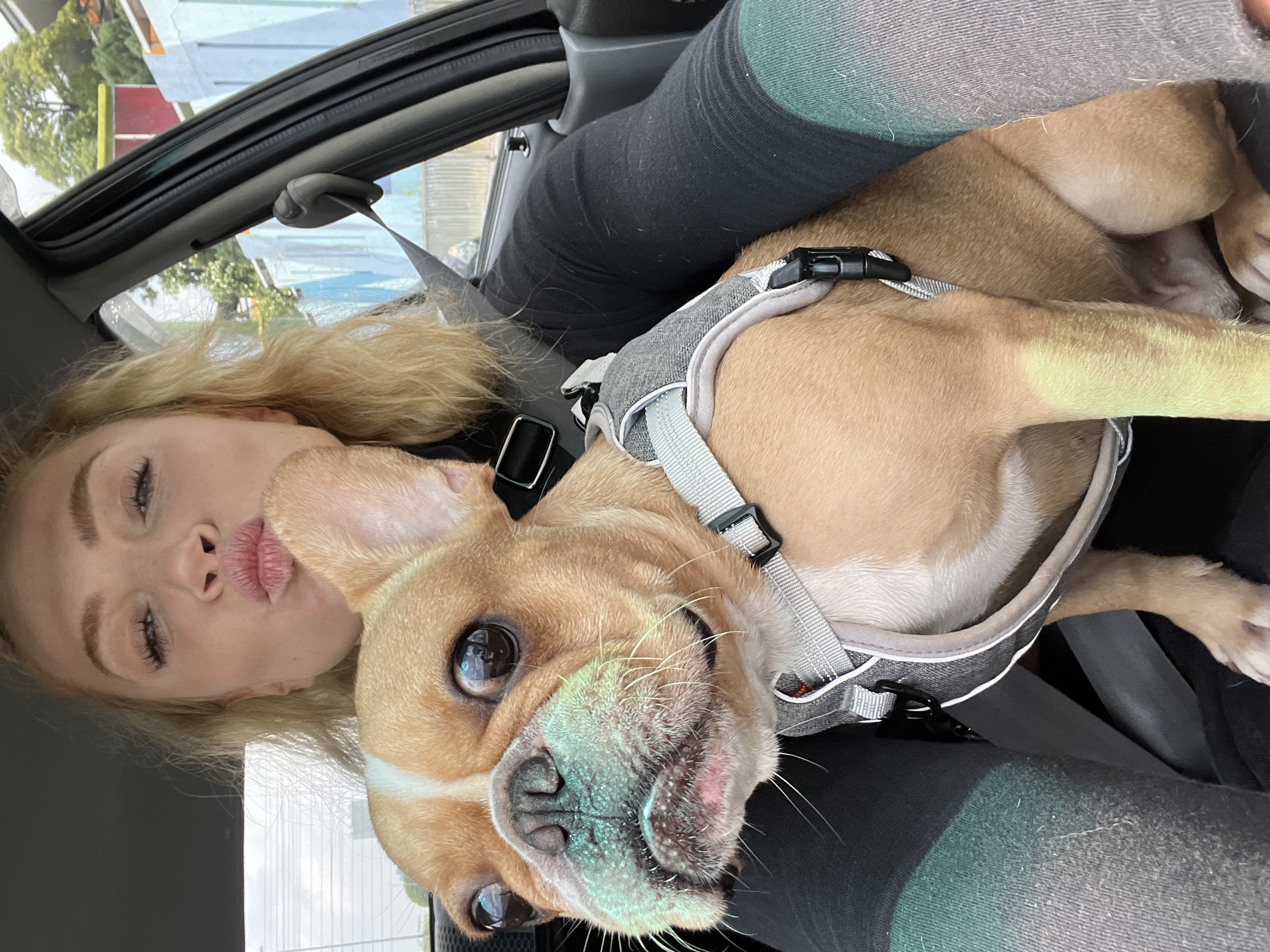 image-6
