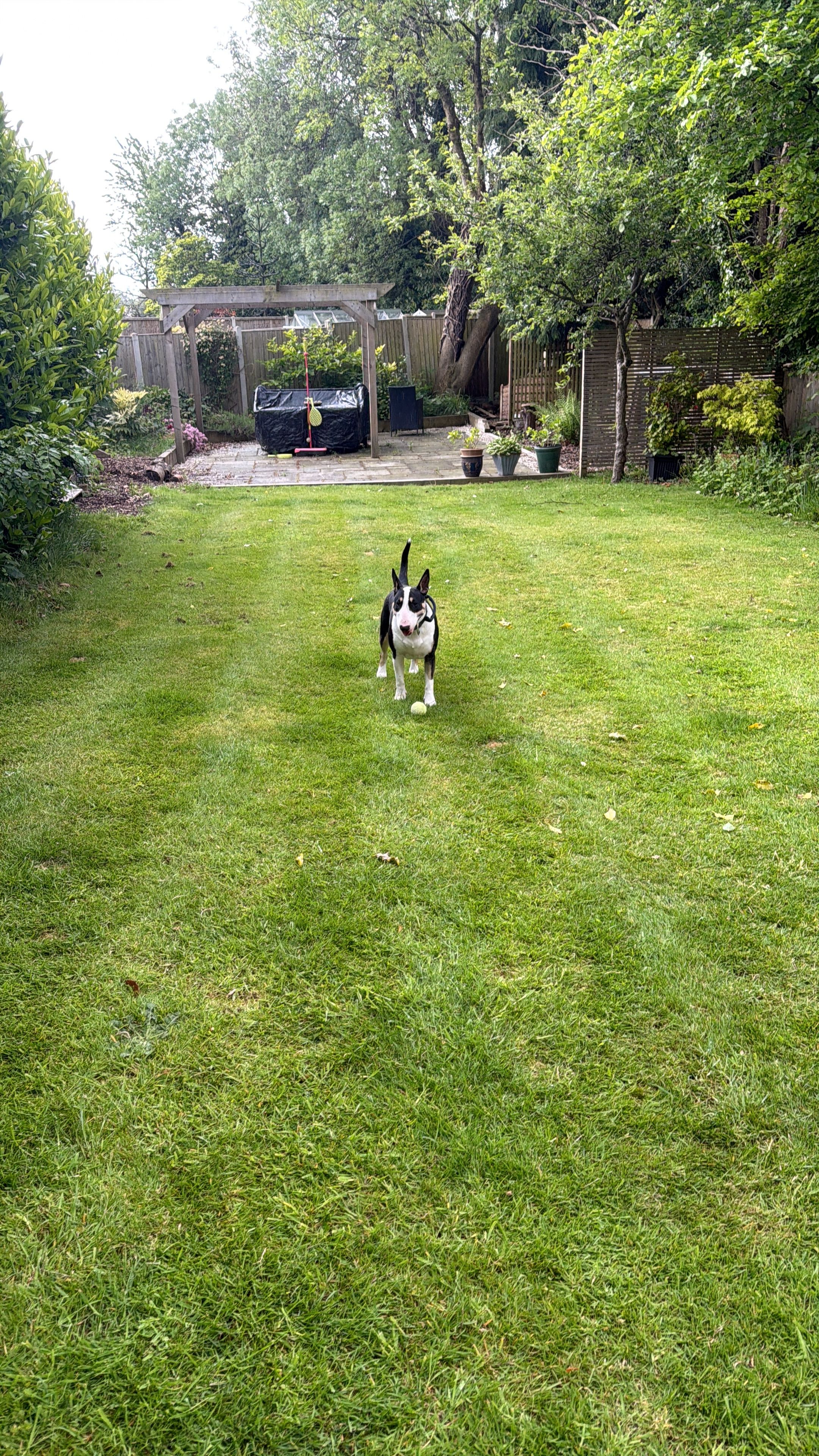 image-26