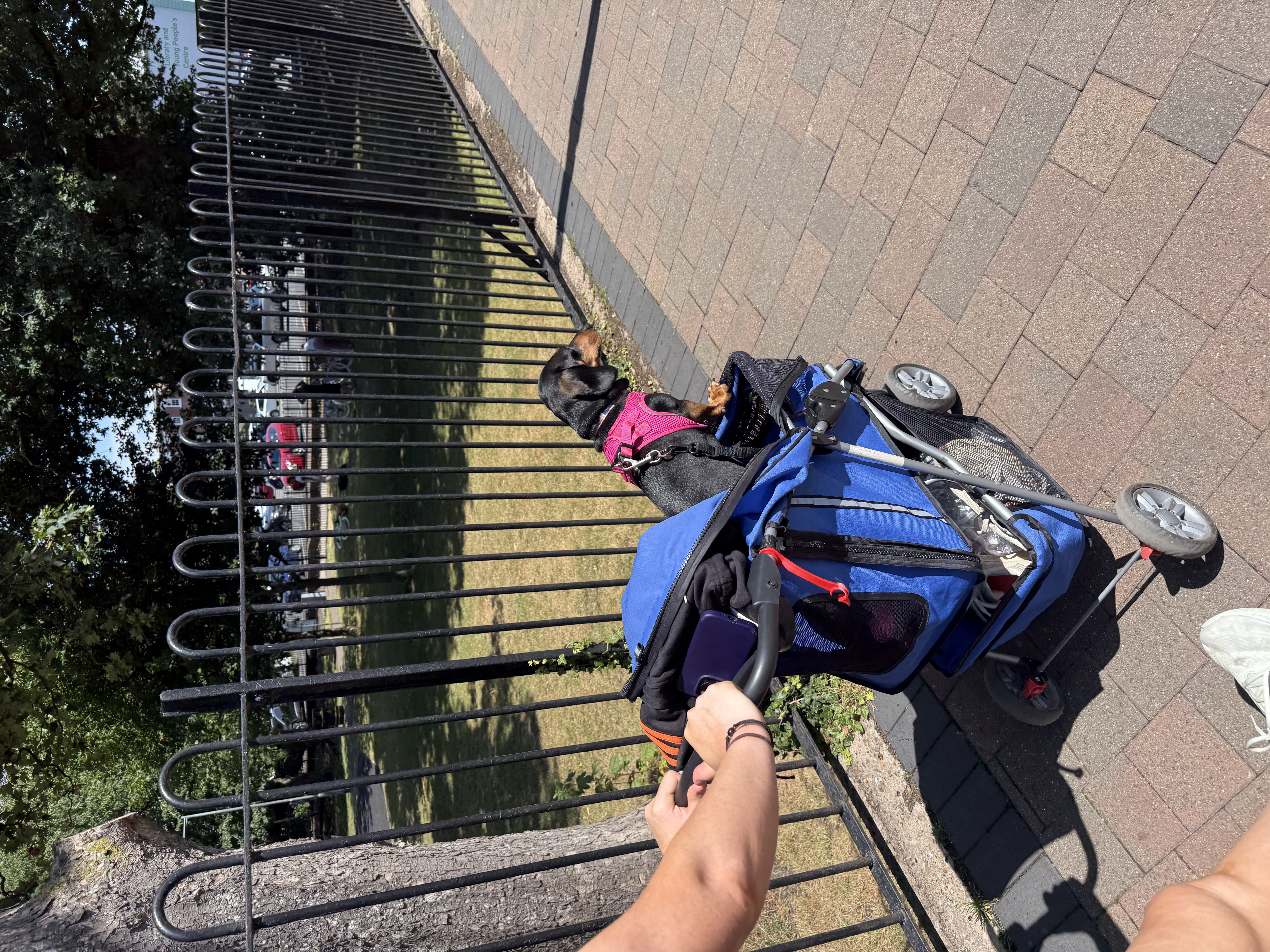 image-12