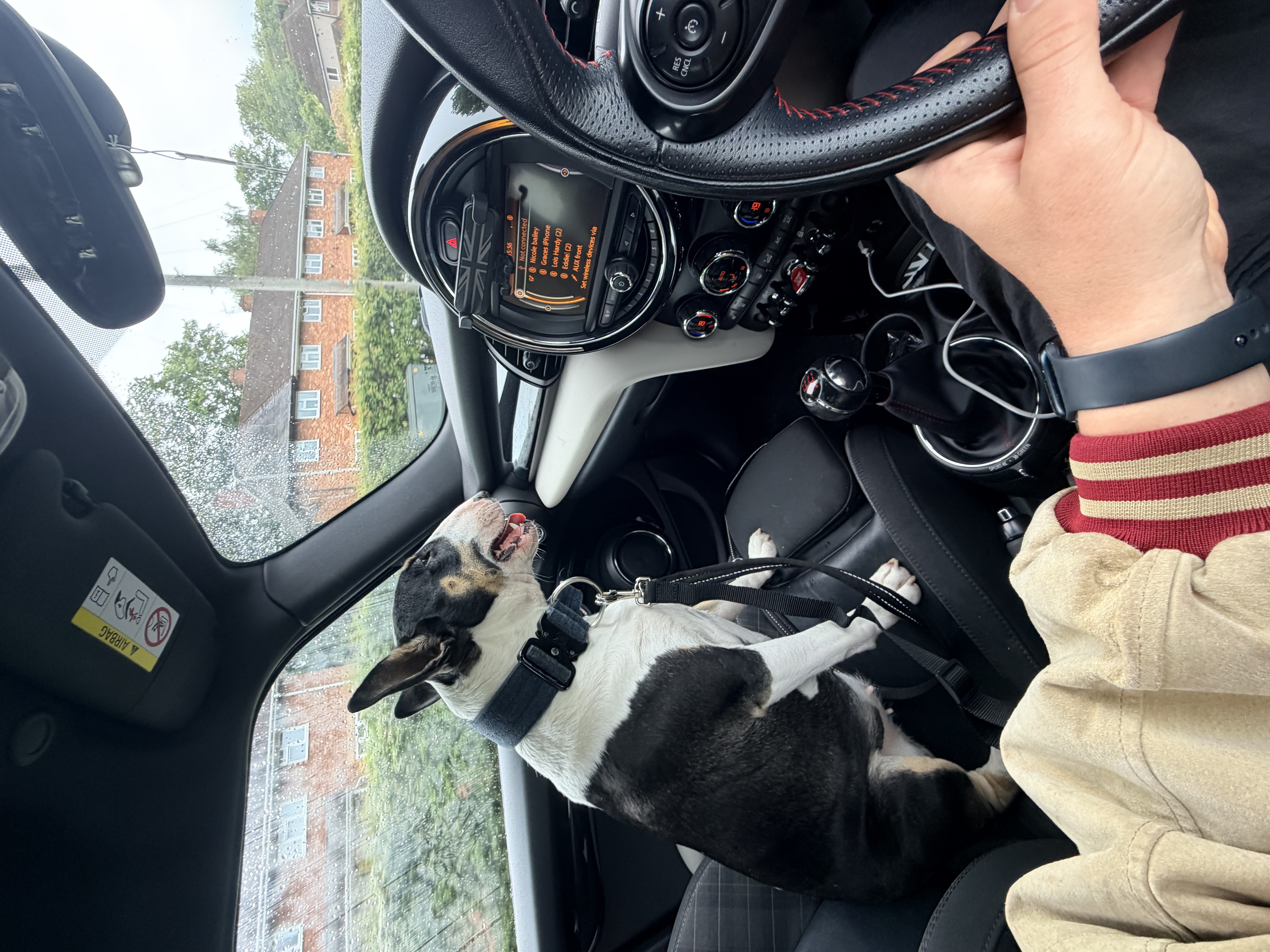 image-15