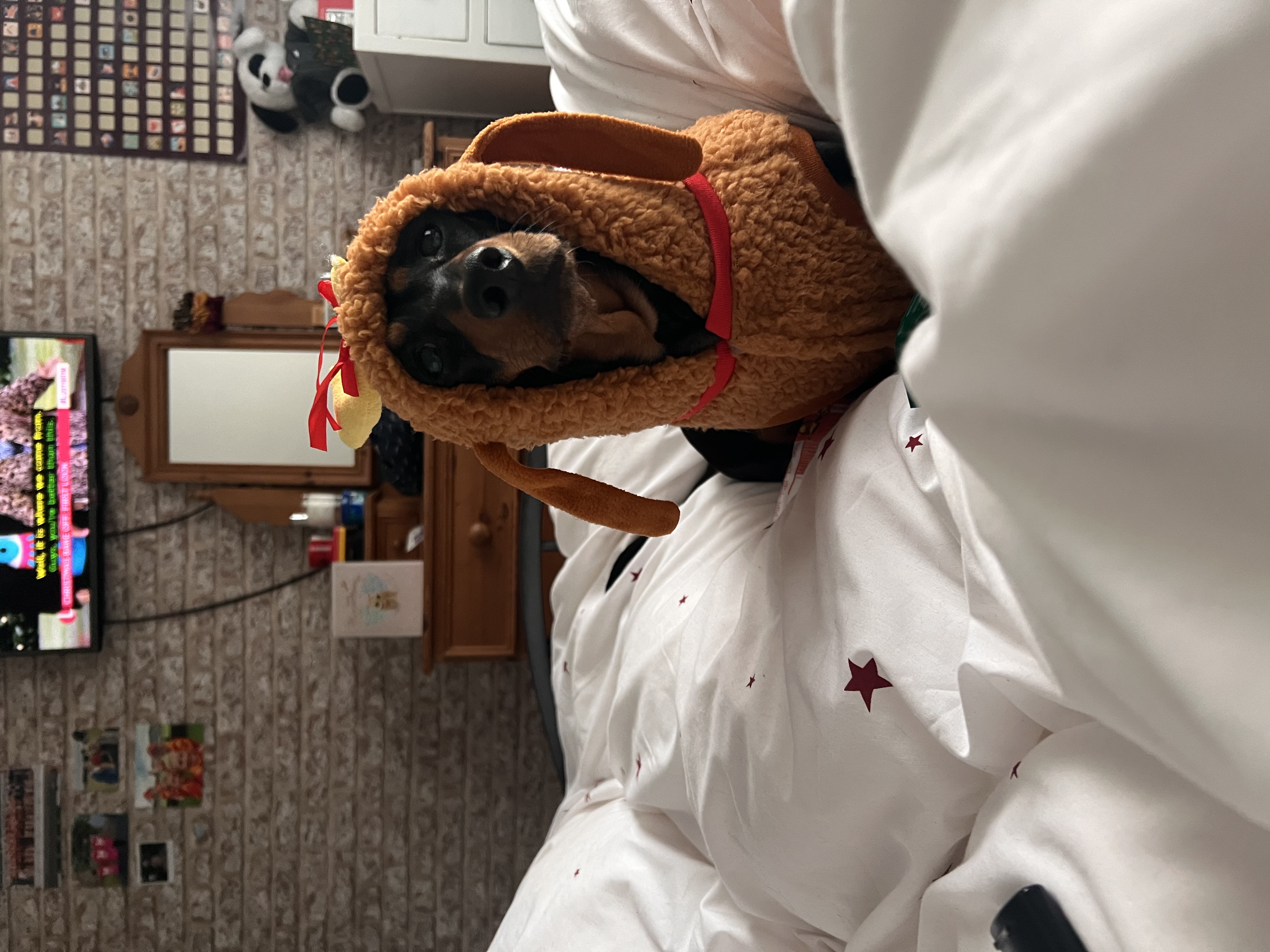 image-16