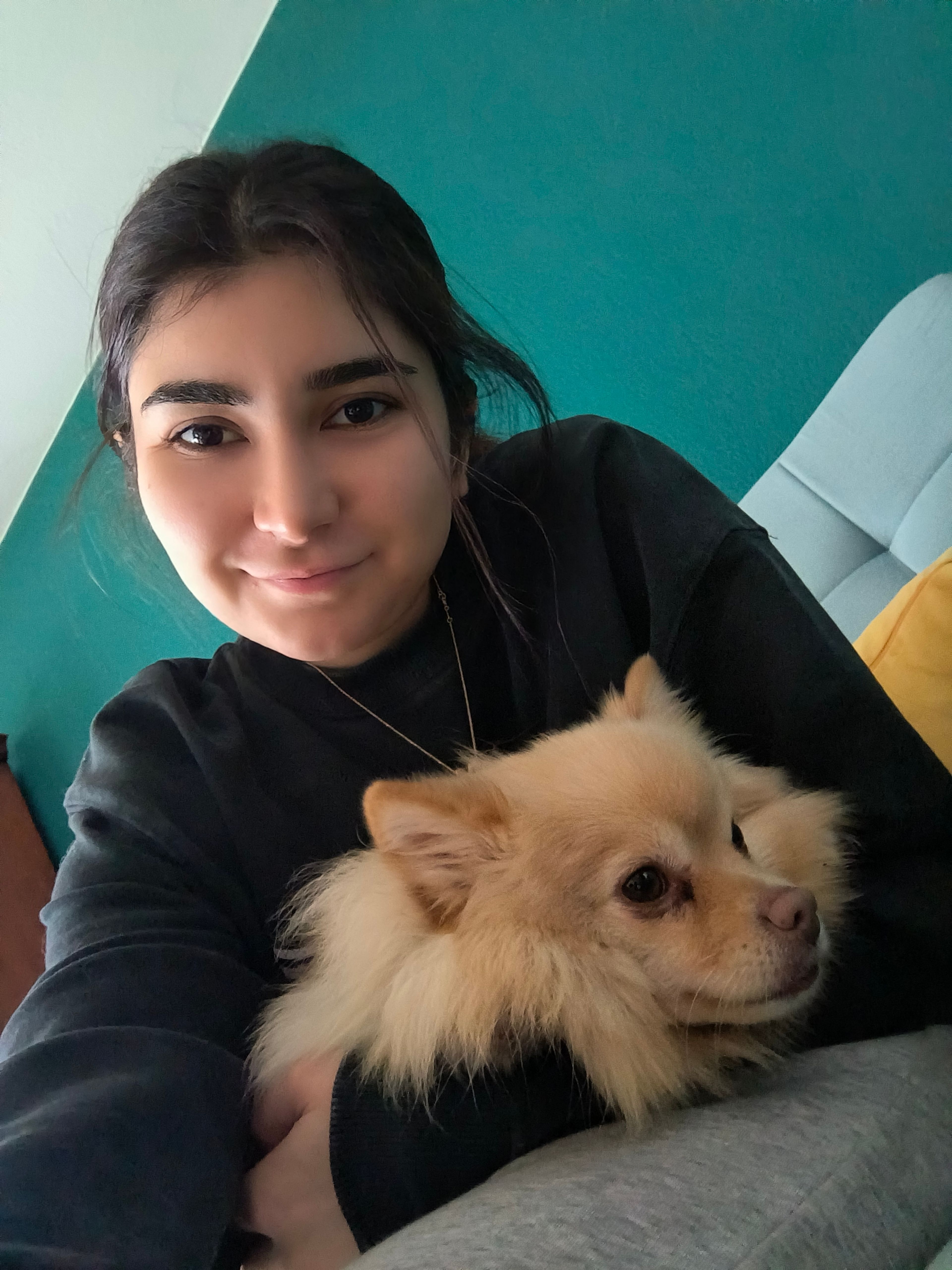 image-5