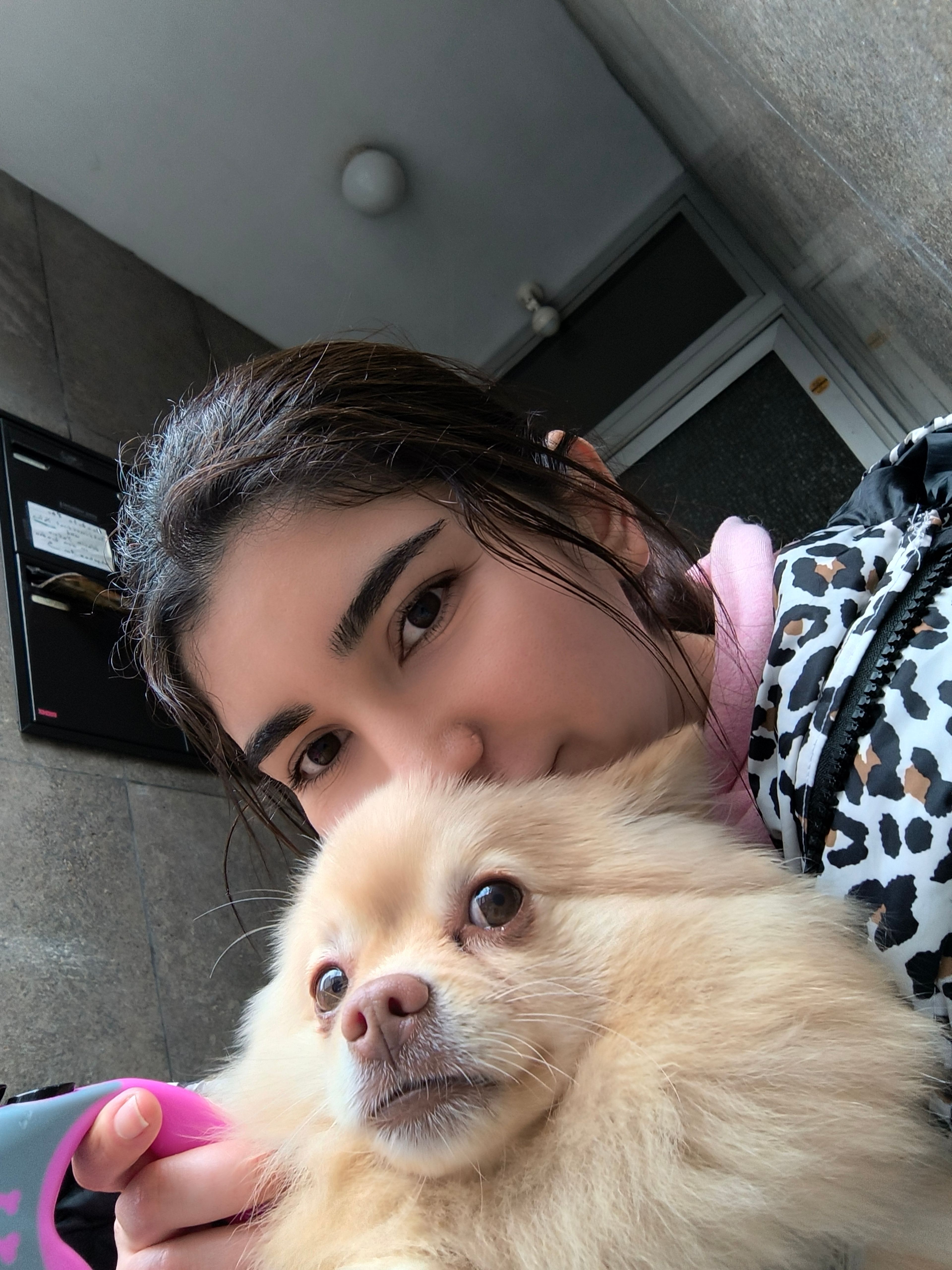 image-4