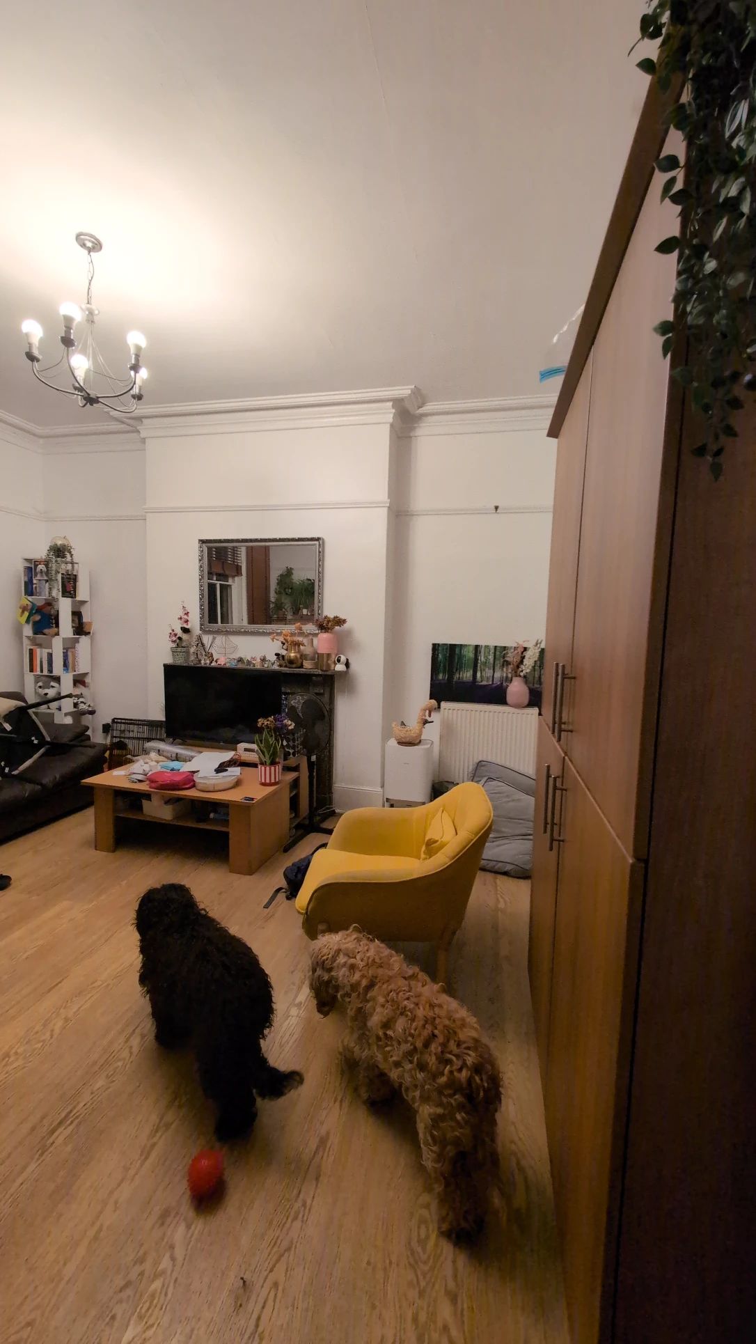 image-25