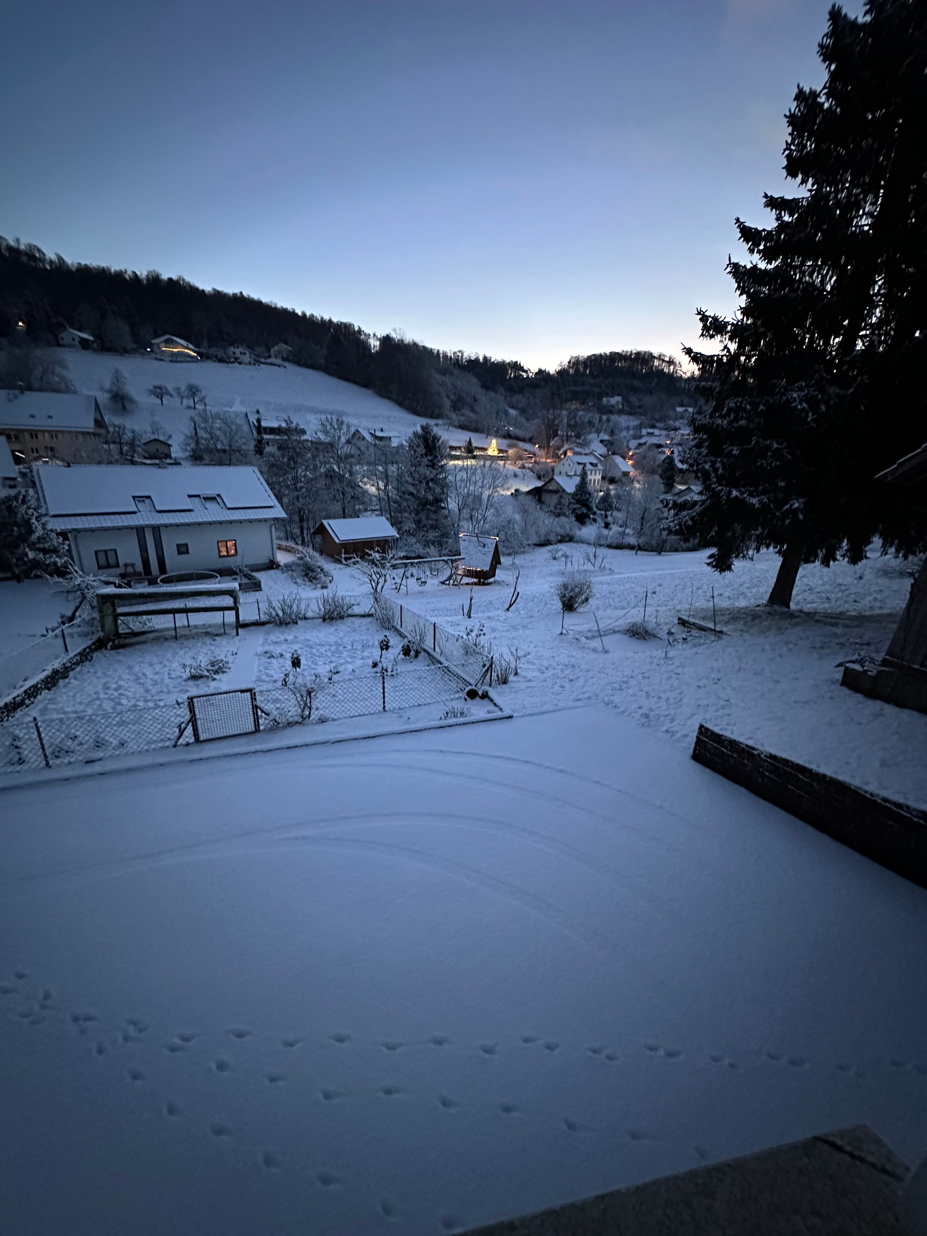 image-12
