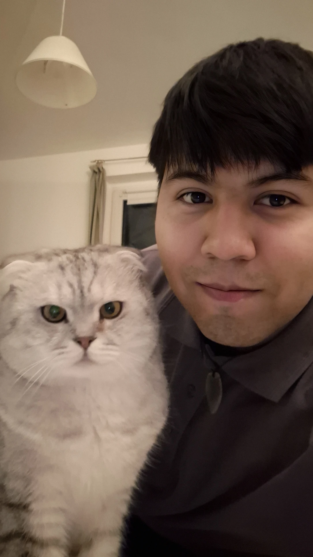 image-2