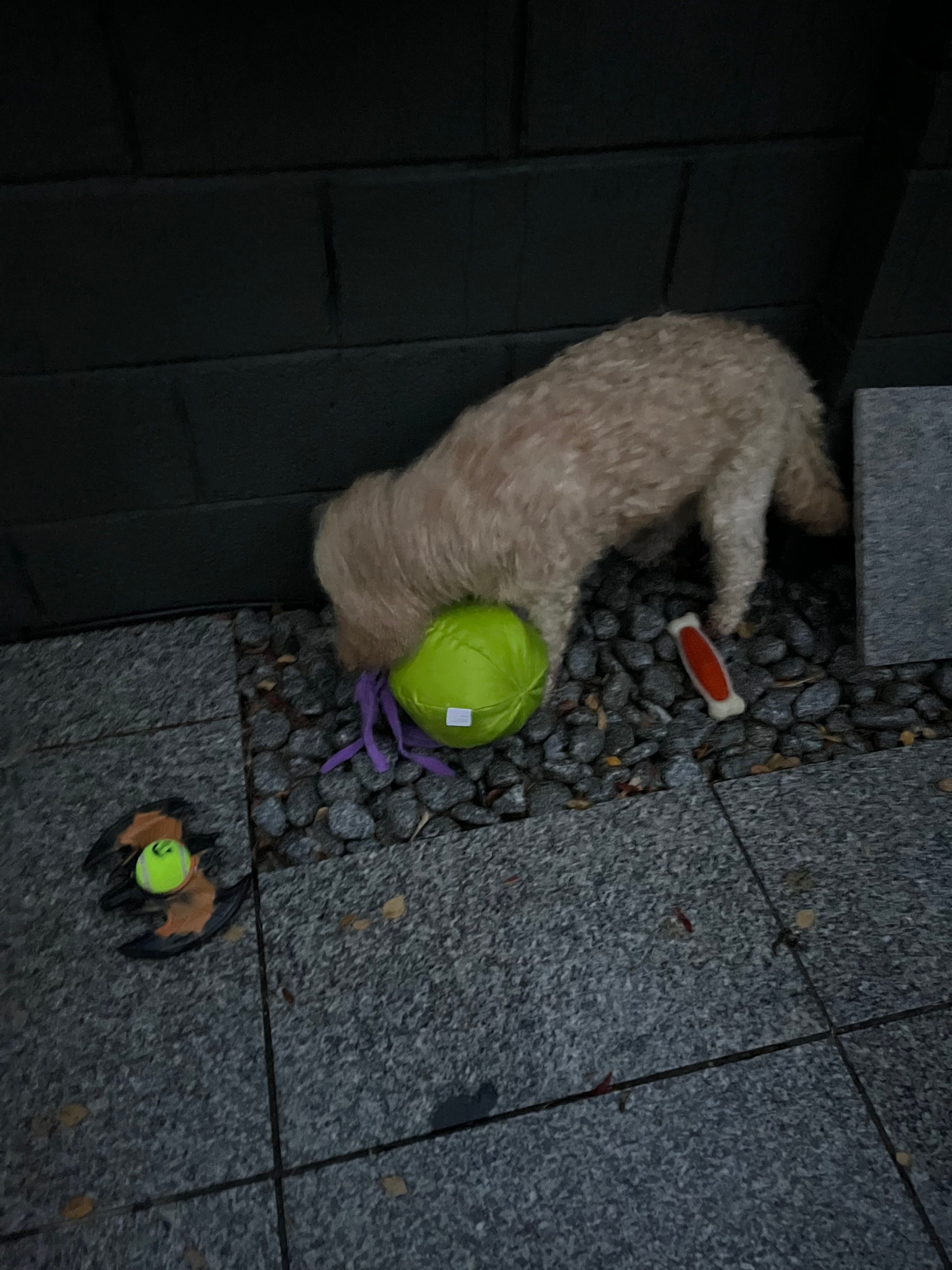 image-10
