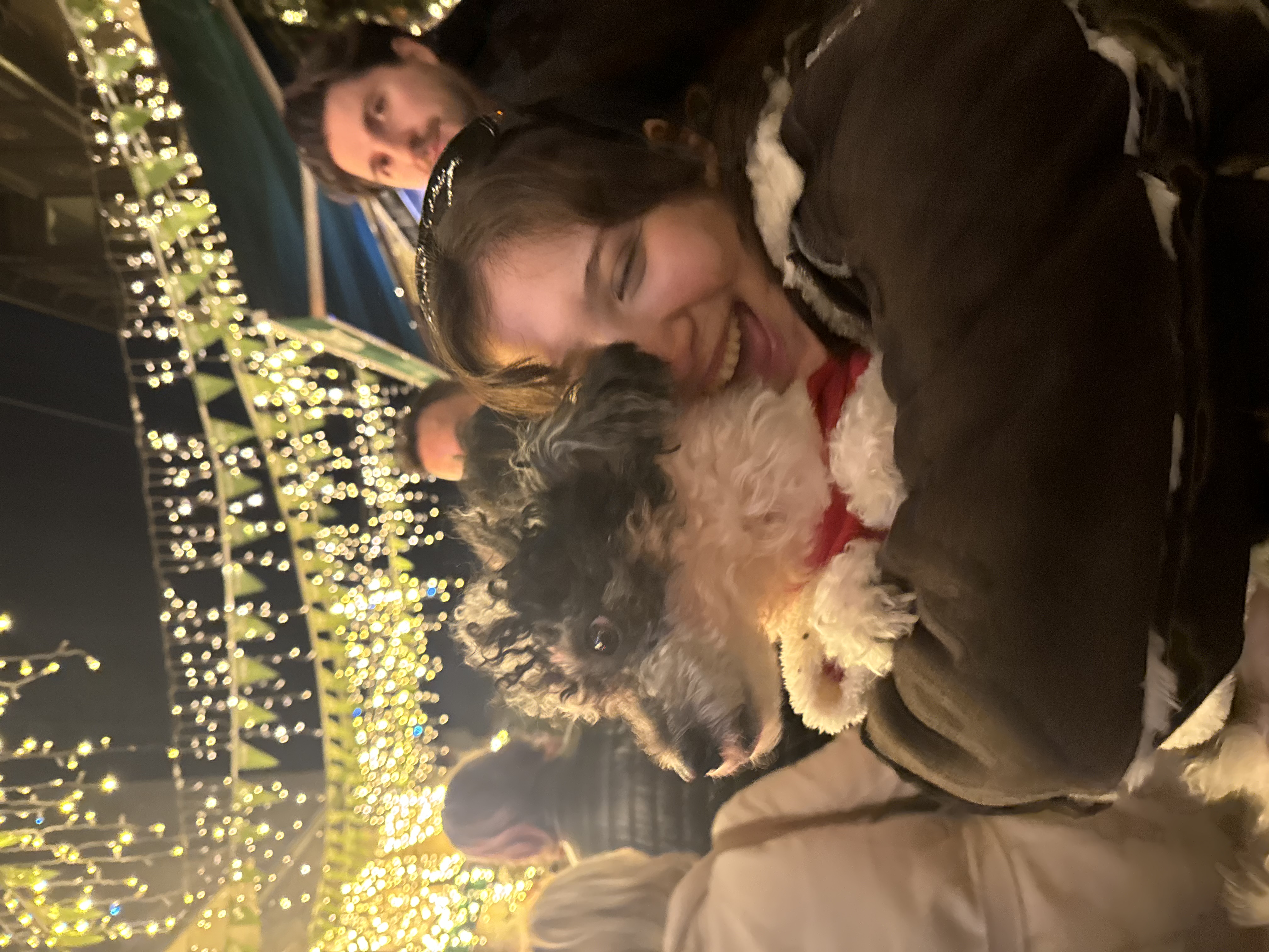 image-5