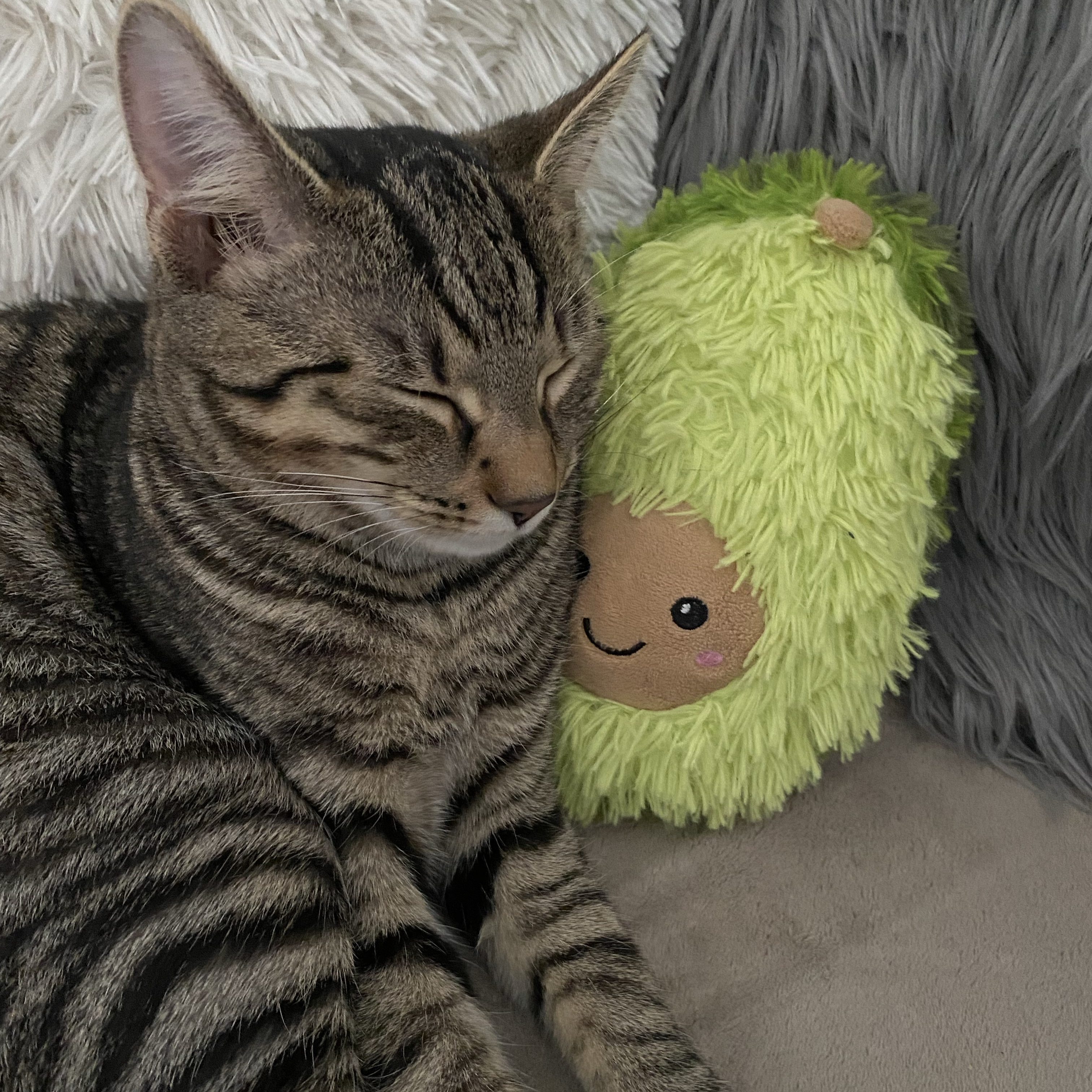 Simba