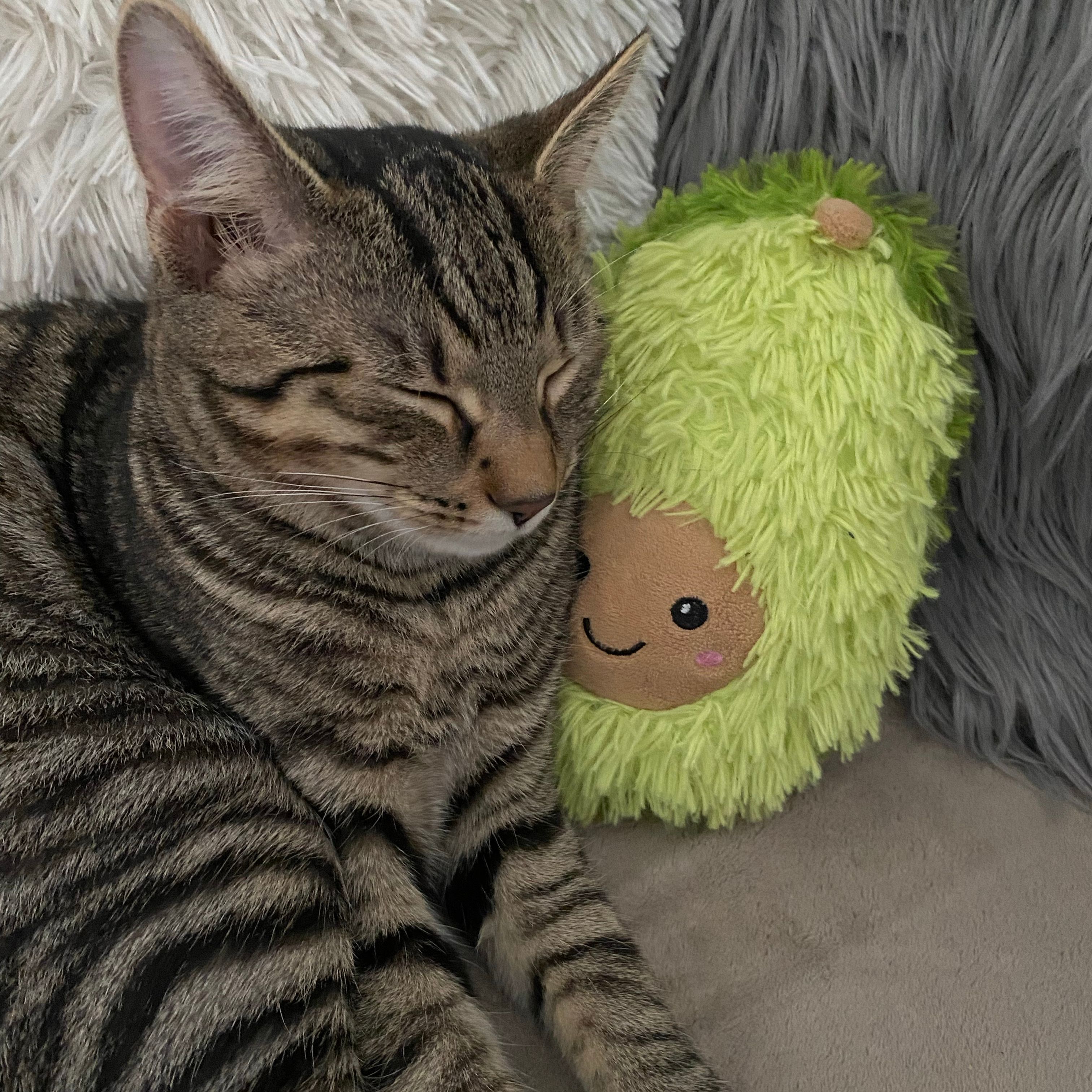 Simba