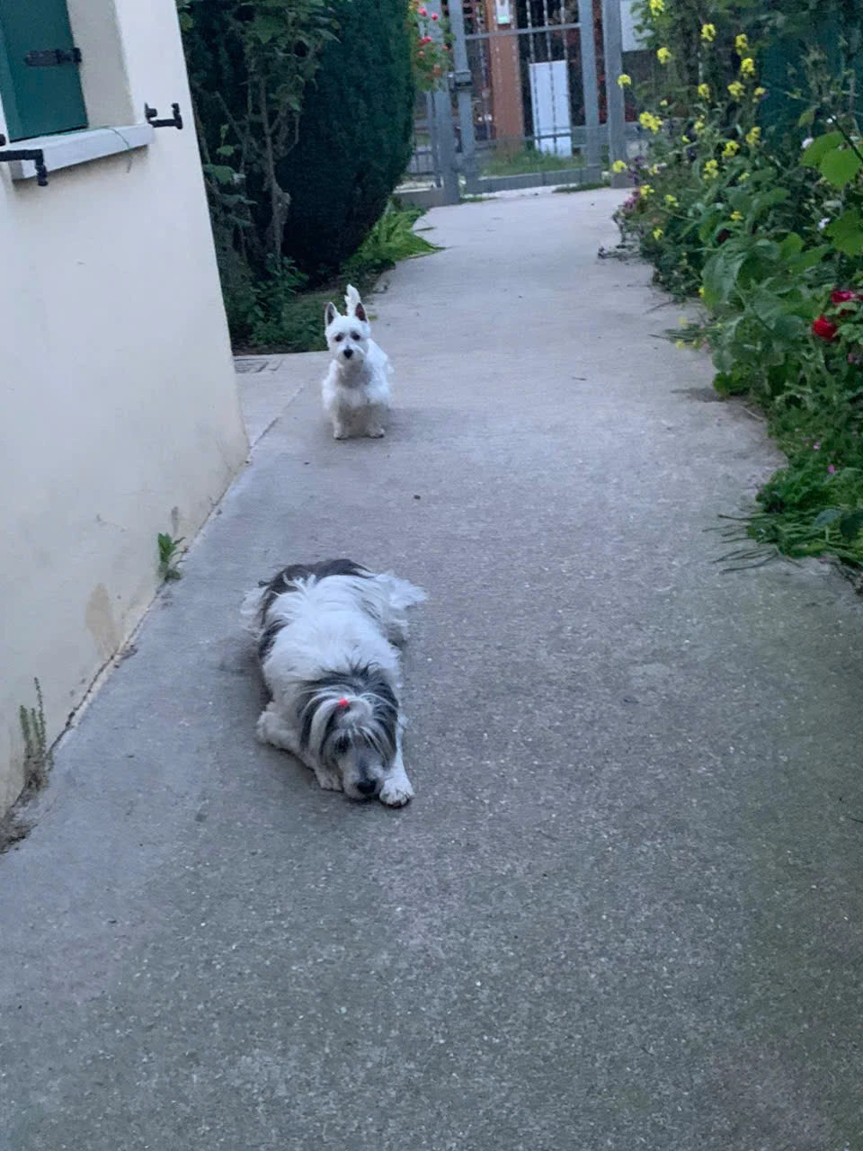 image-28