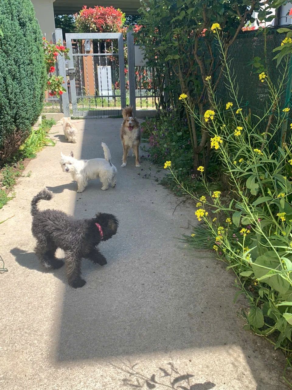 image-27