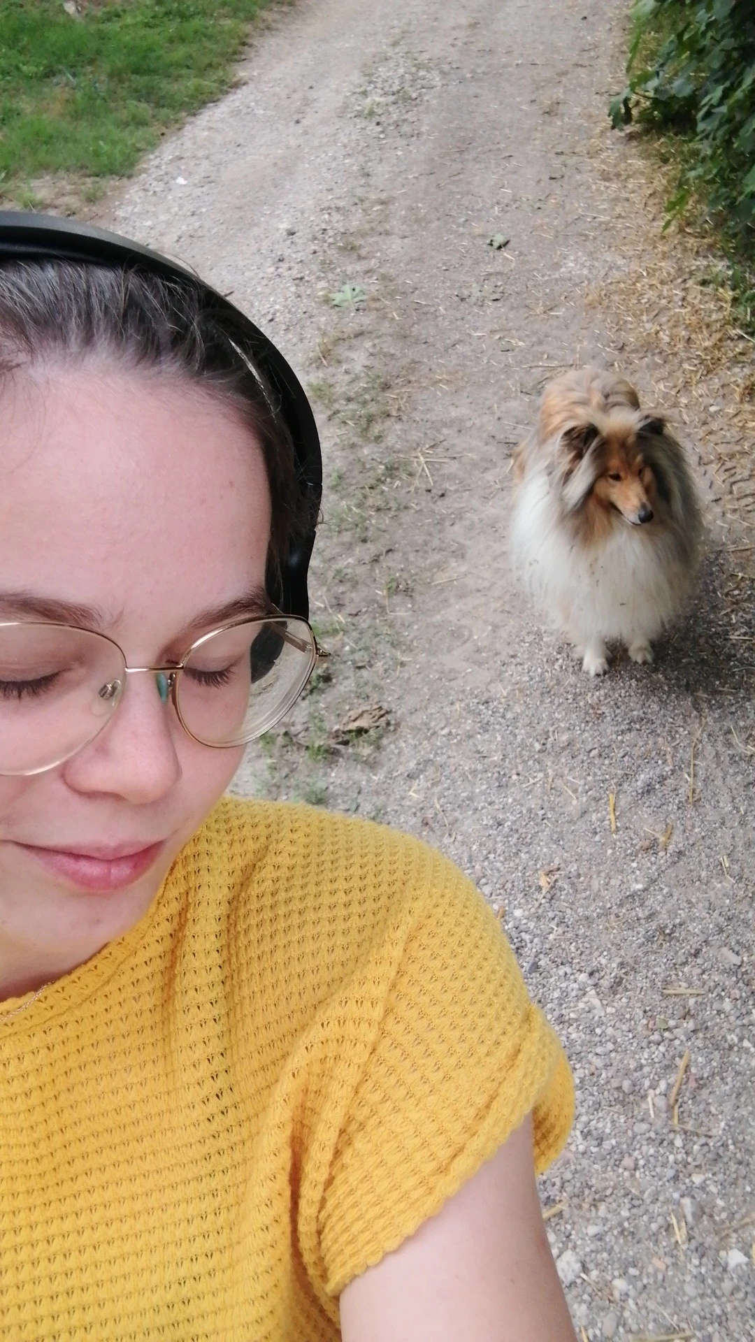 image-7