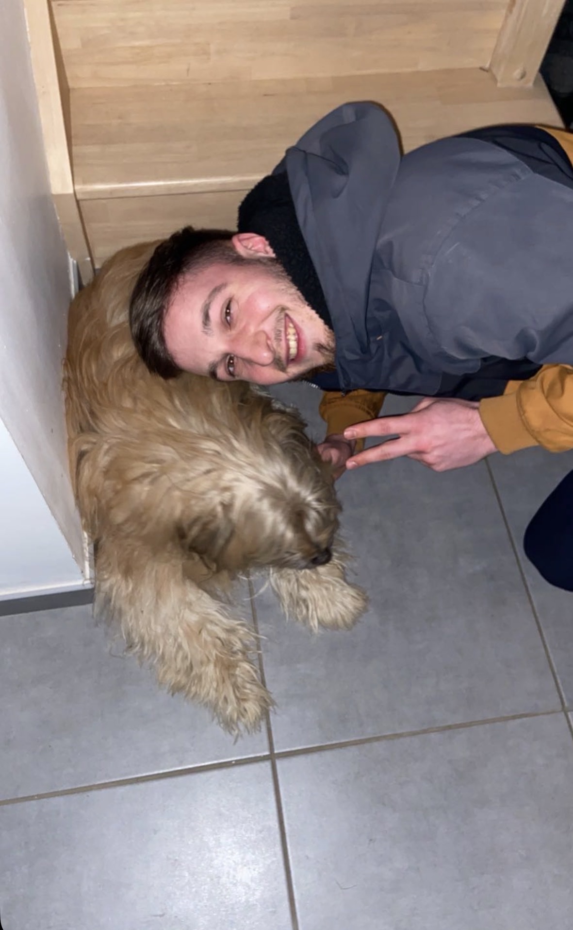 image-7