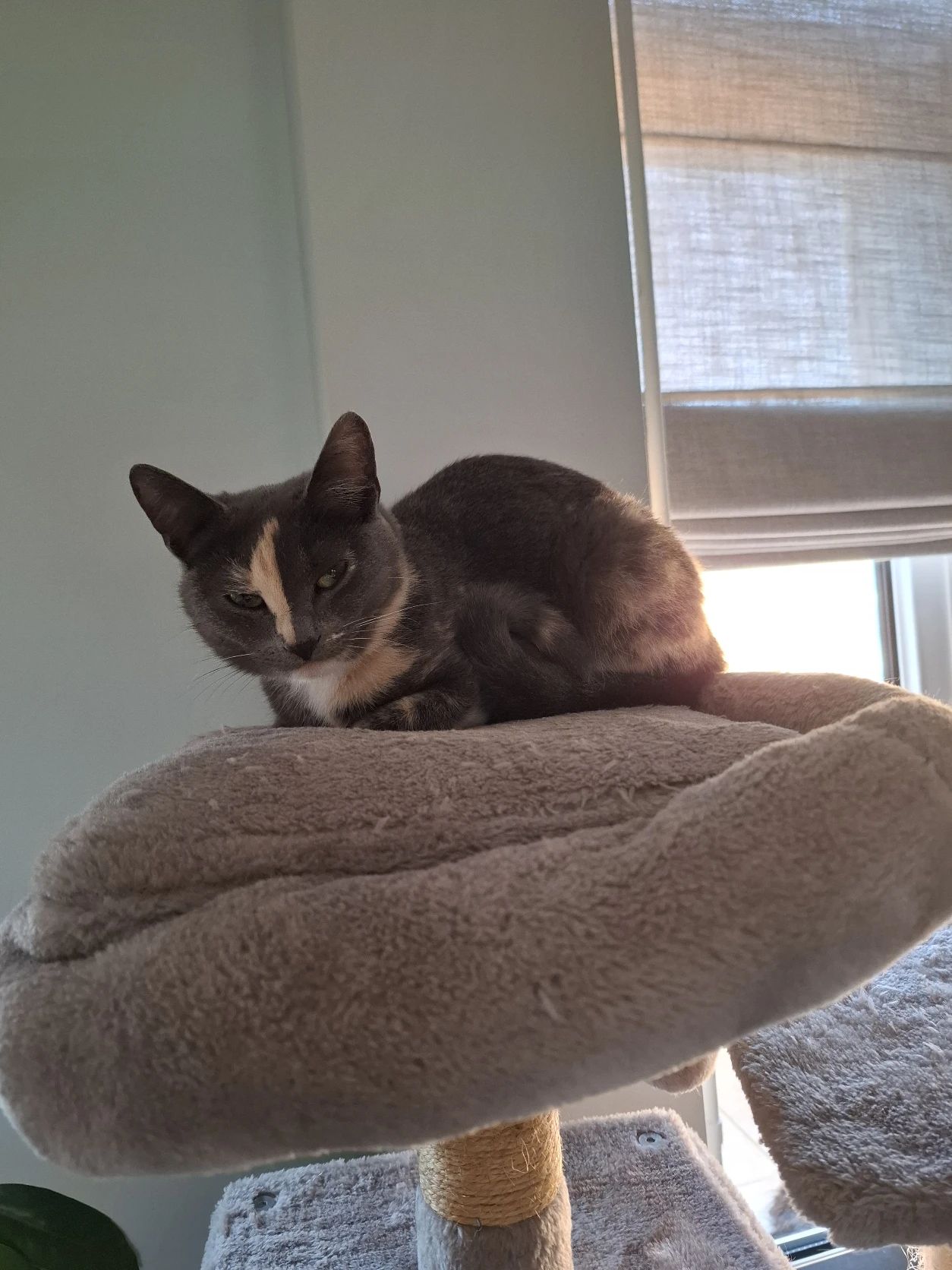 image-7