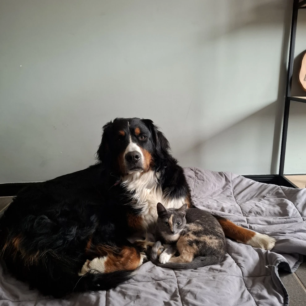Mia