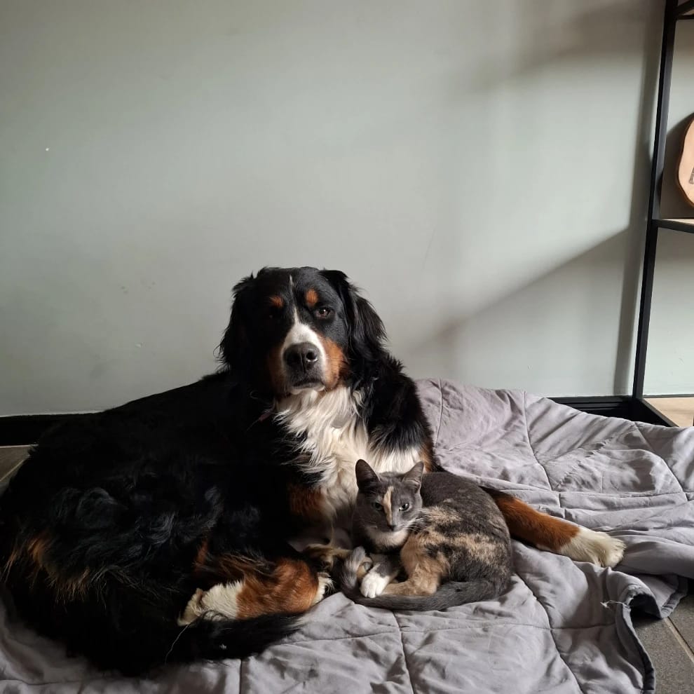 Mia