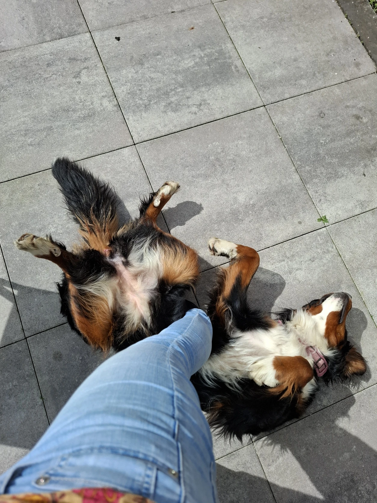 image-5
