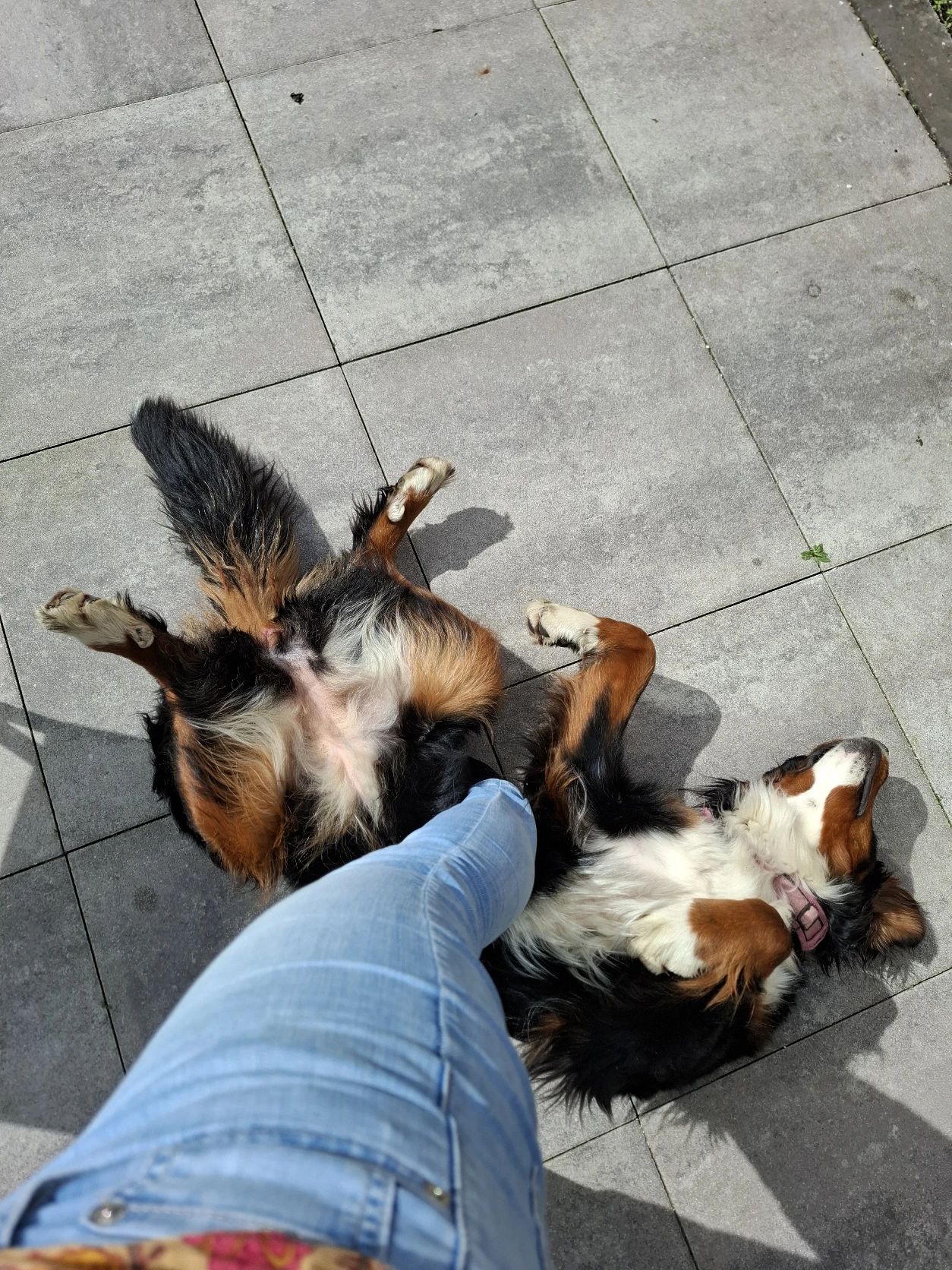image-5
