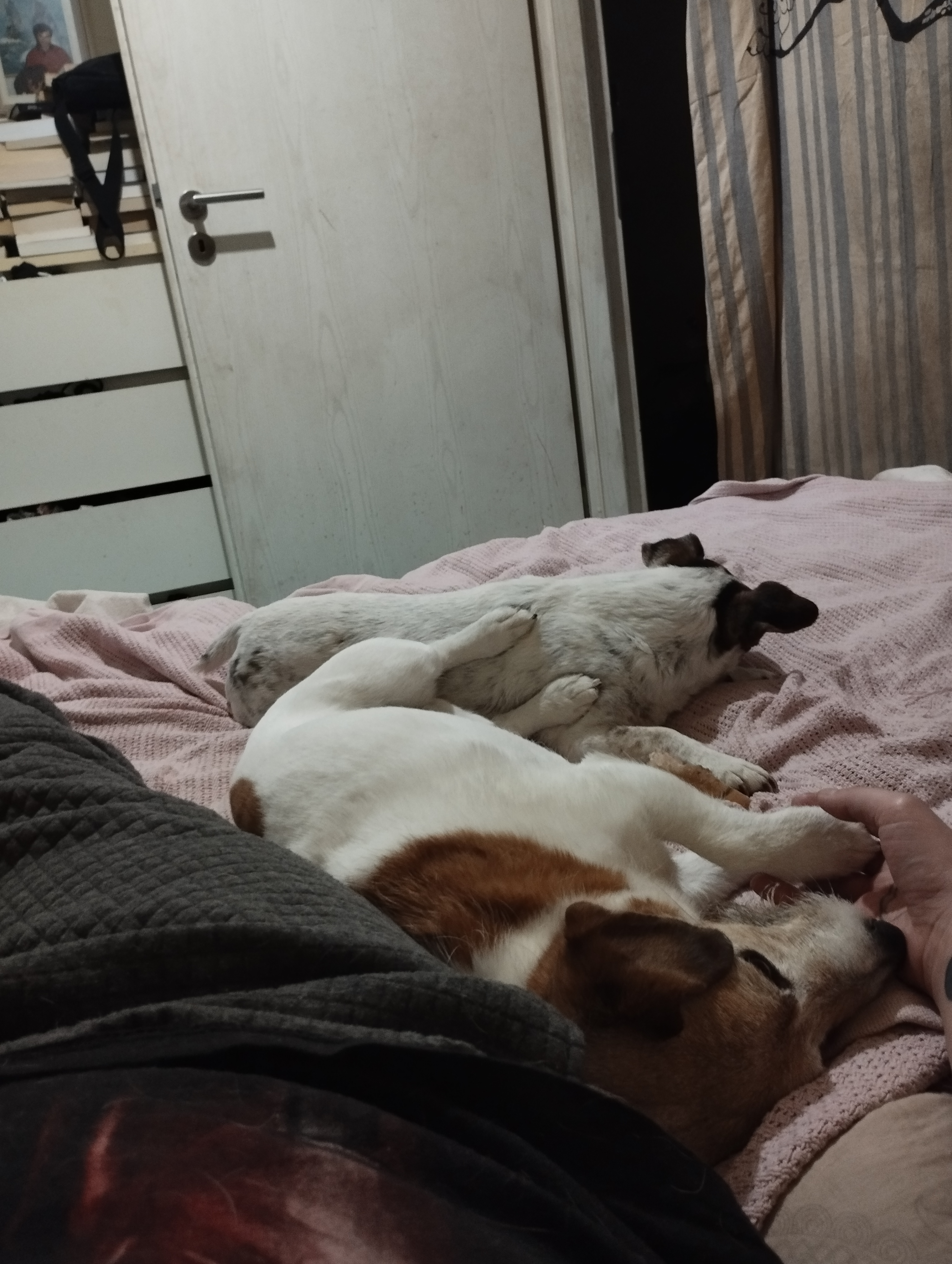 image-19