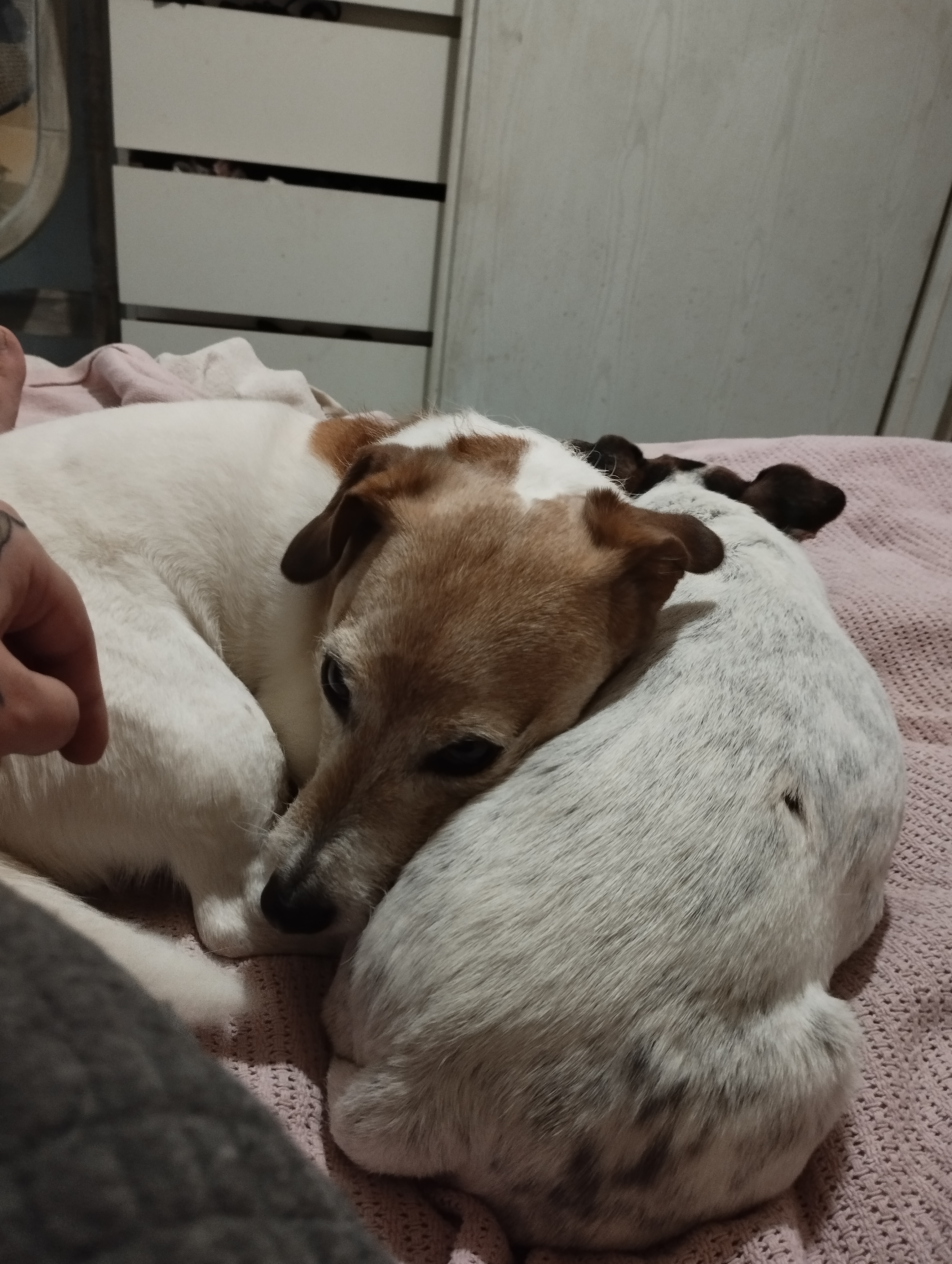 image-10