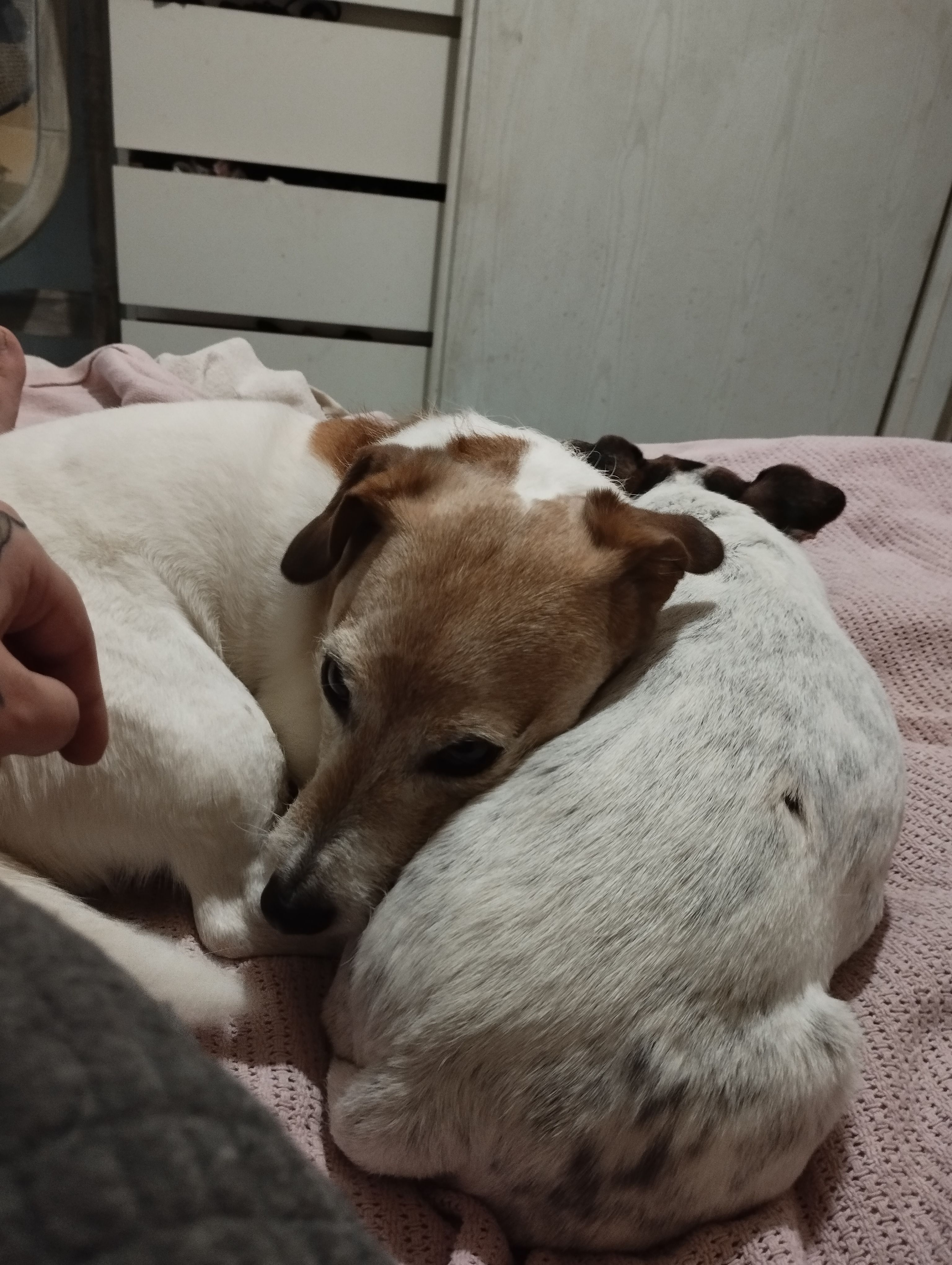 image-10