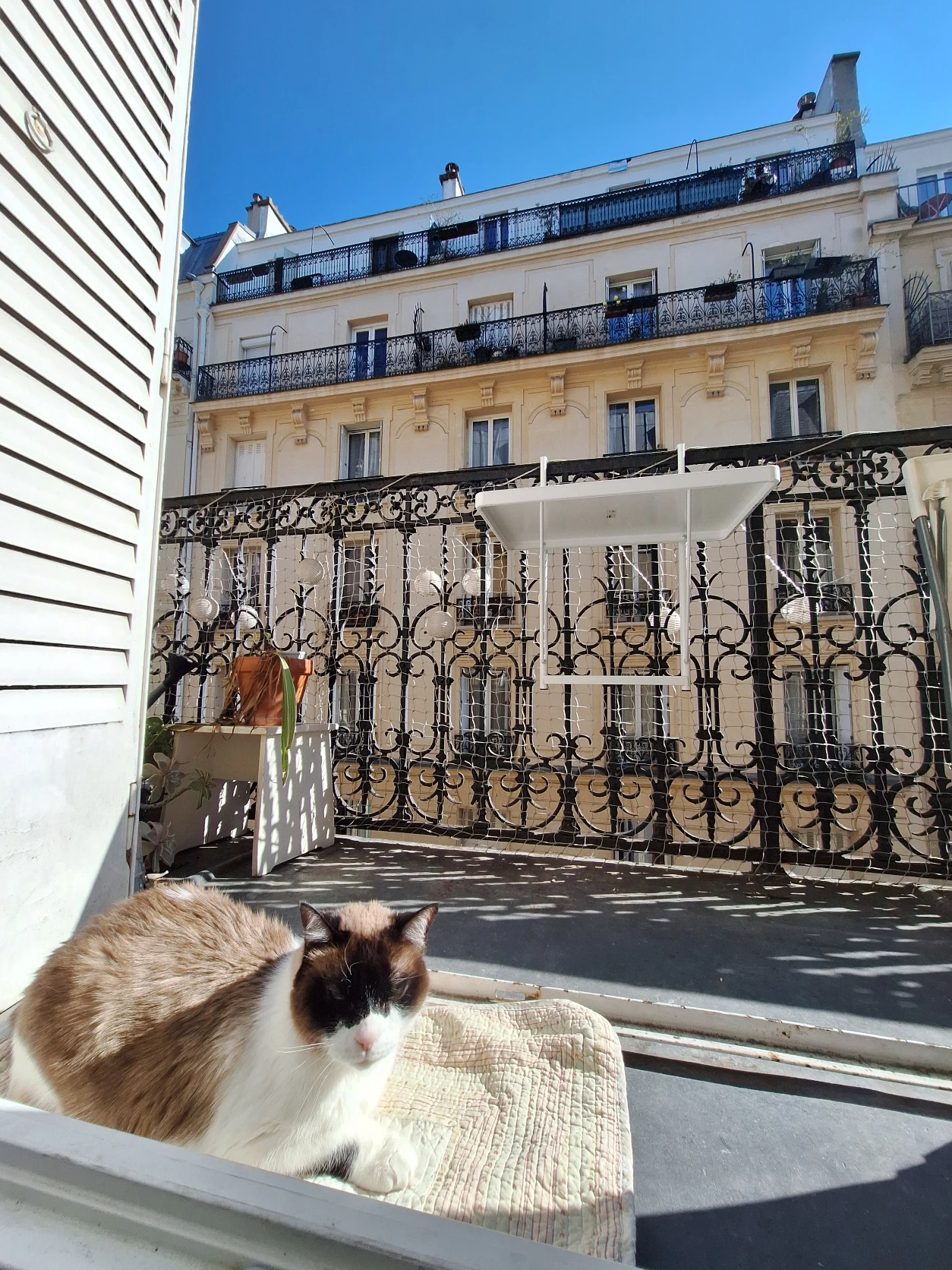 image-19