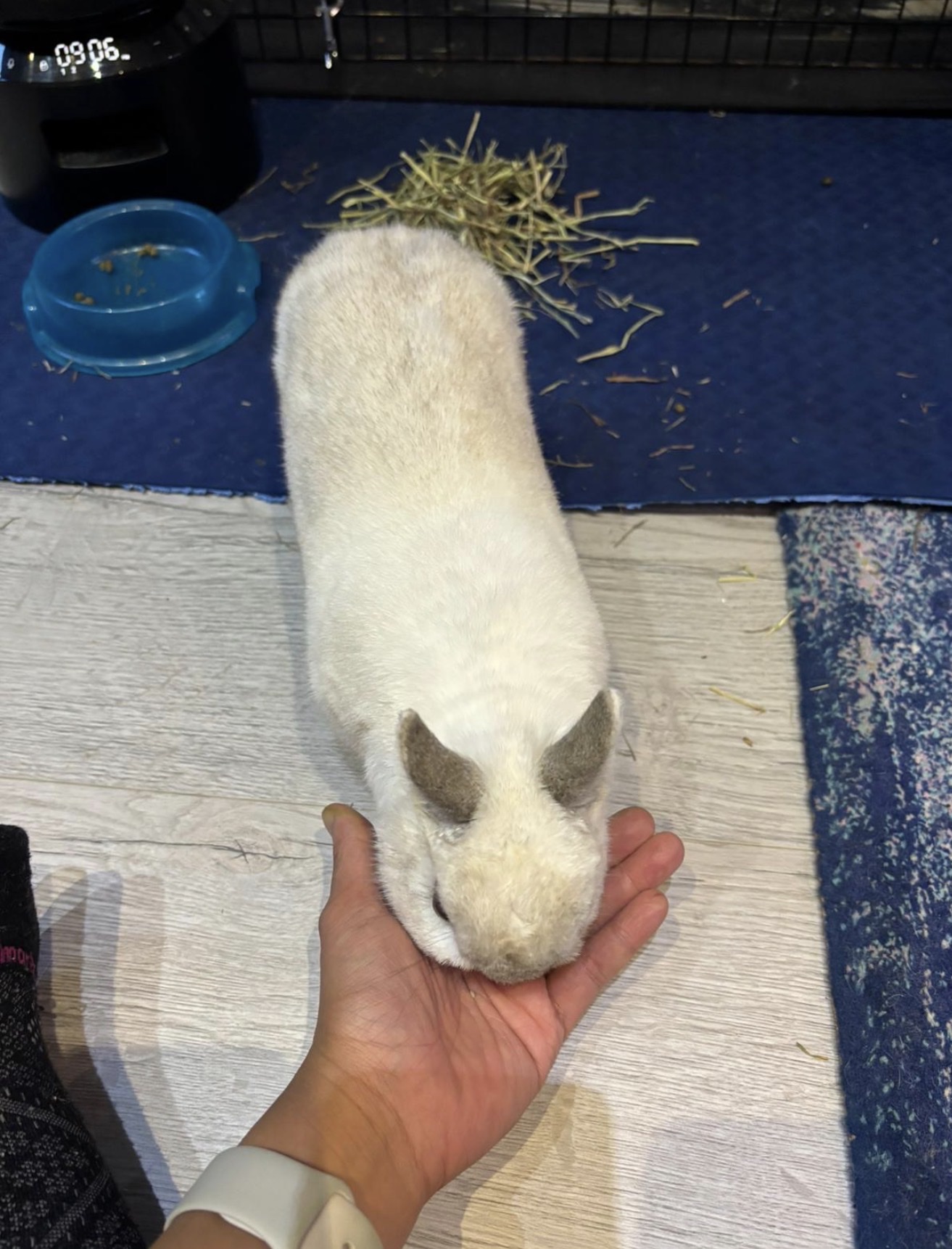 image-12