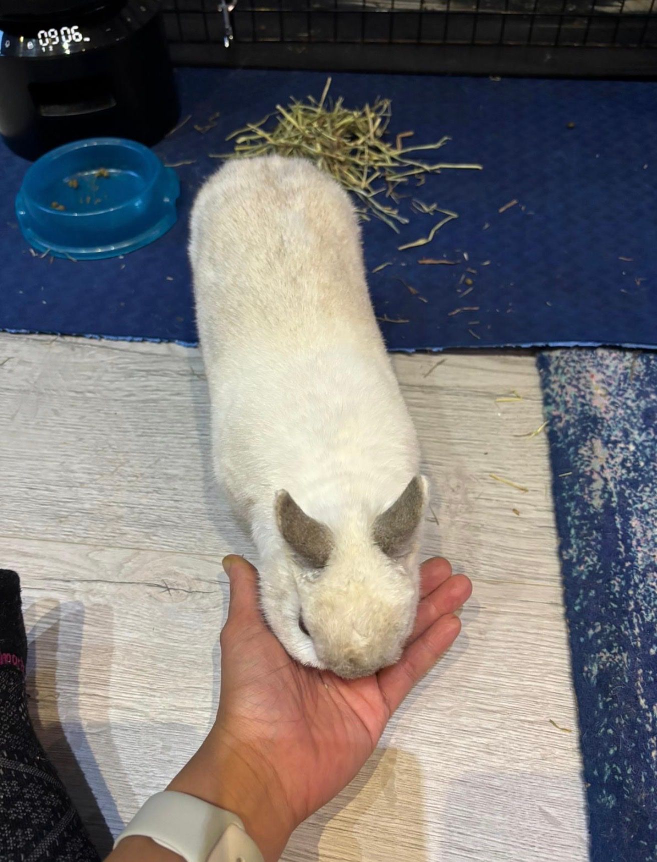 image-12