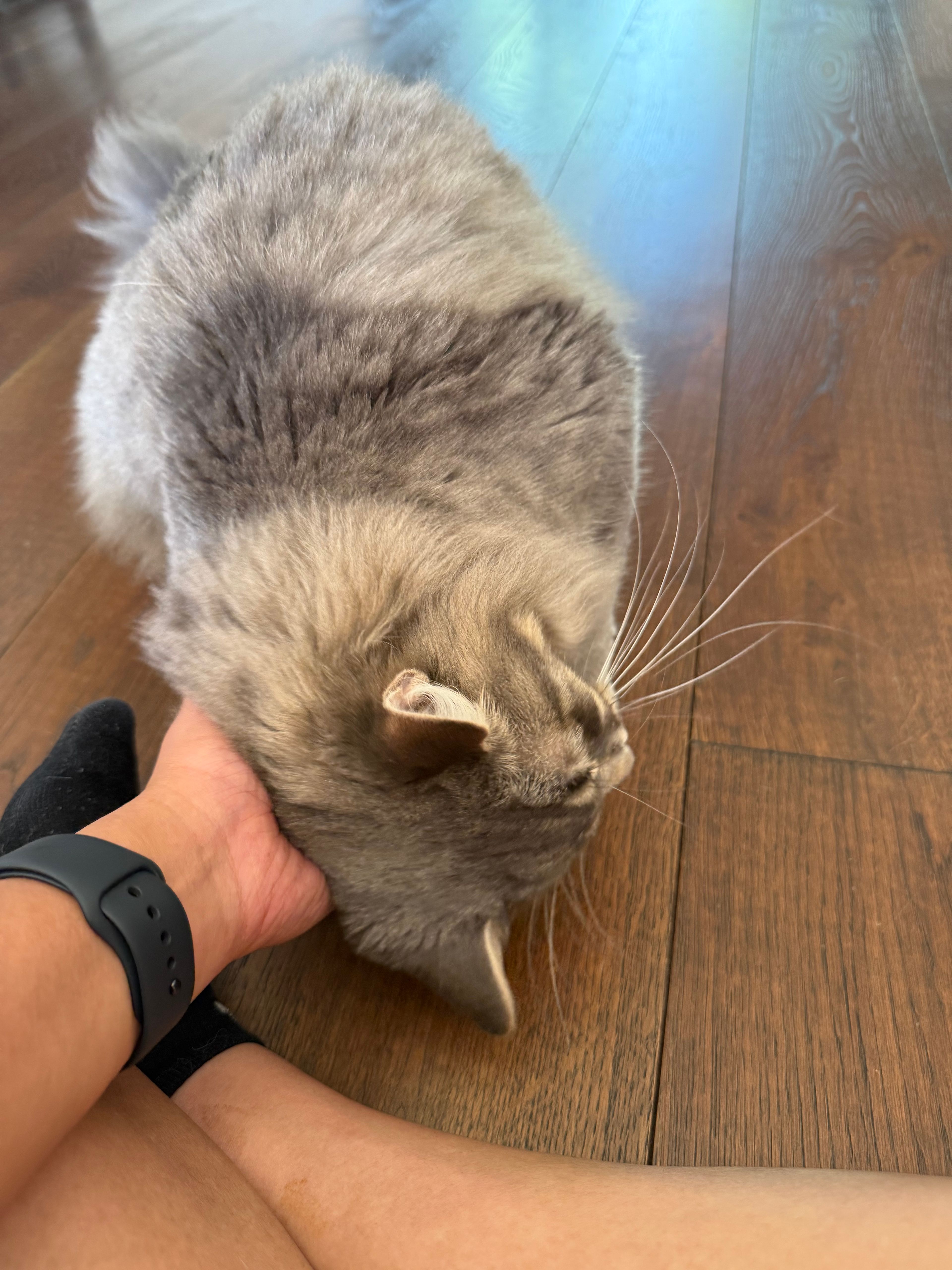 image-14