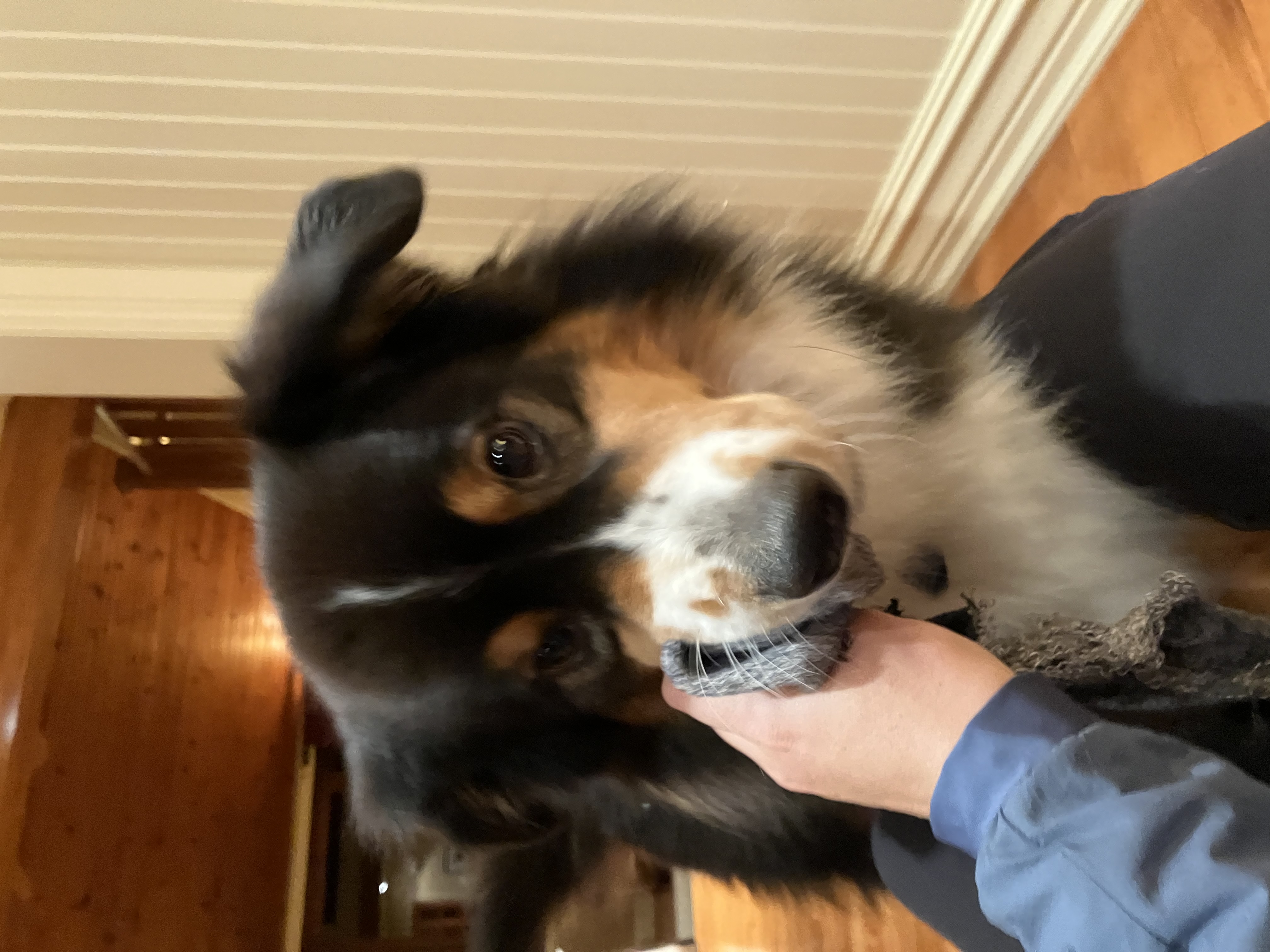 image-6