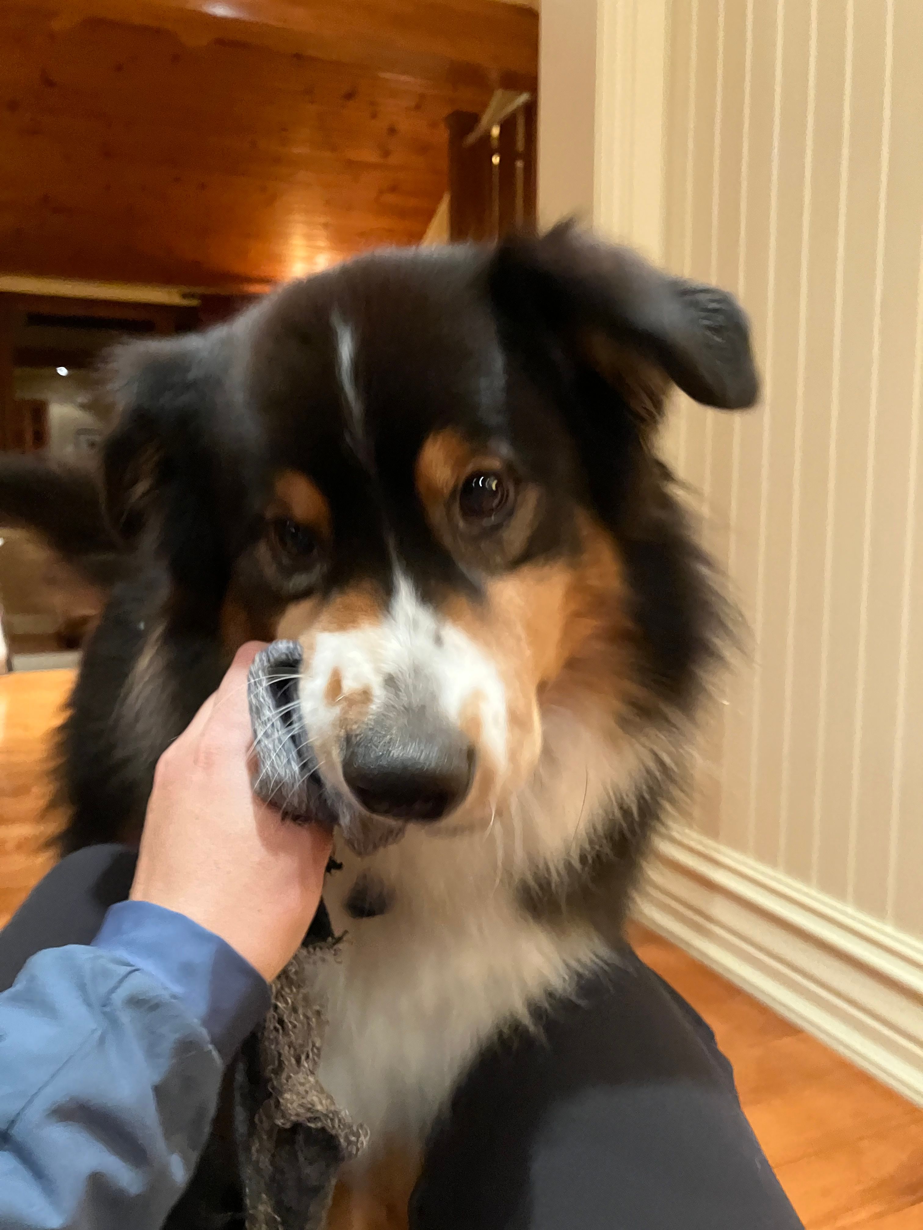 image-6