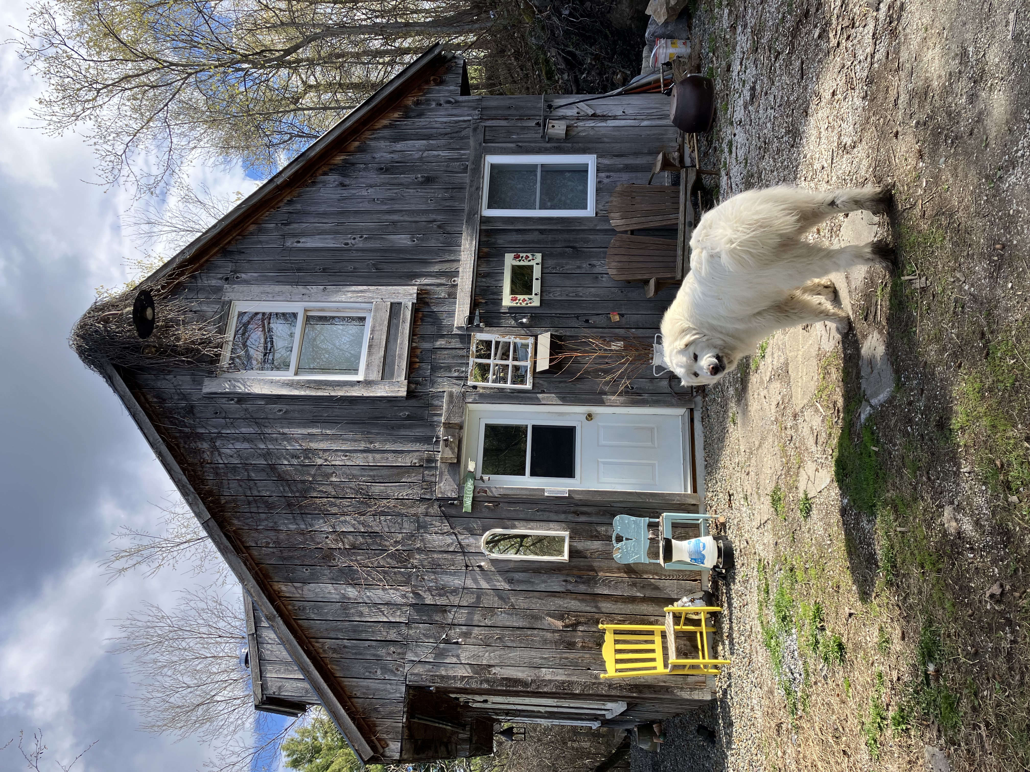 image-14