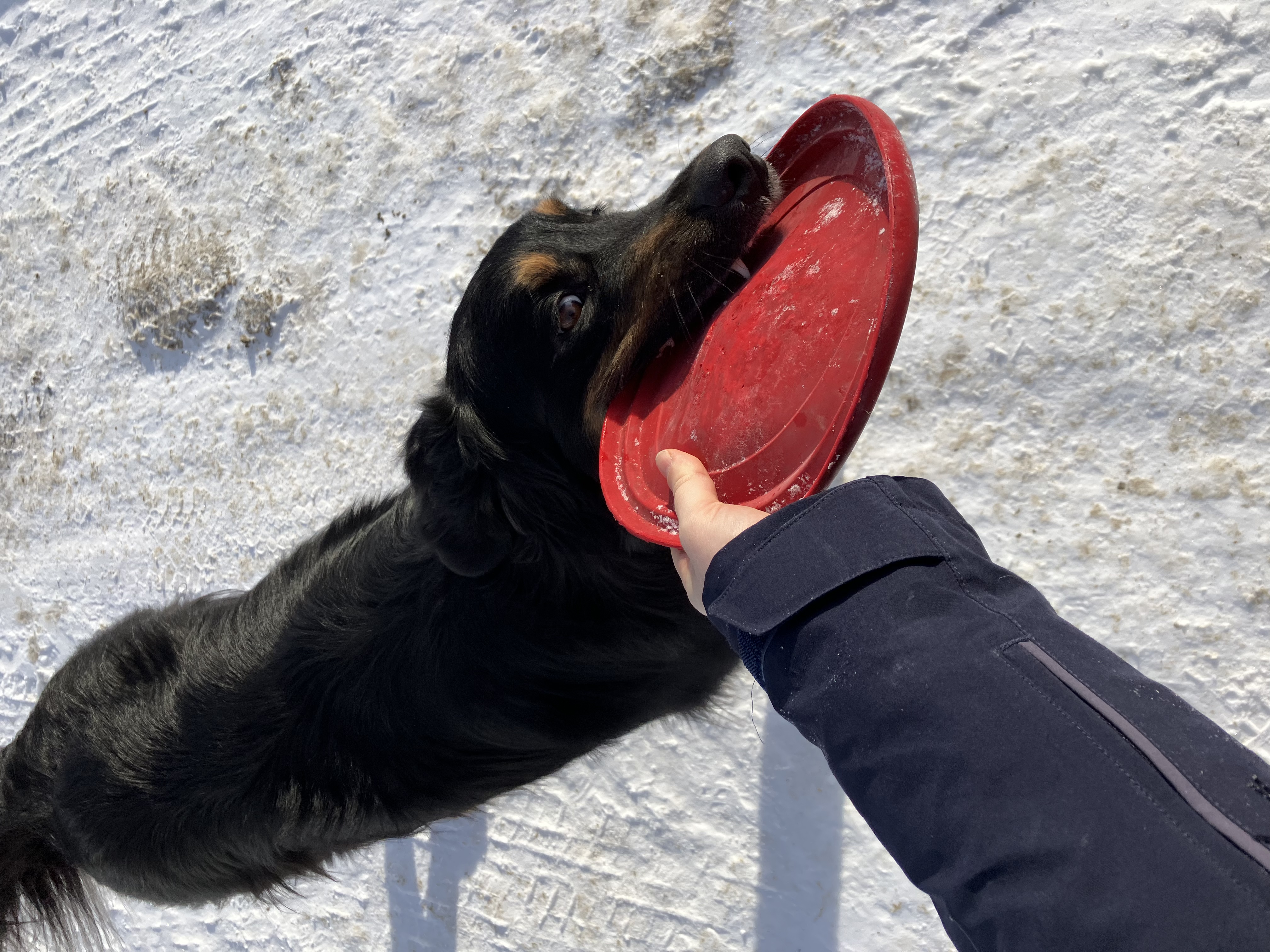 image-7