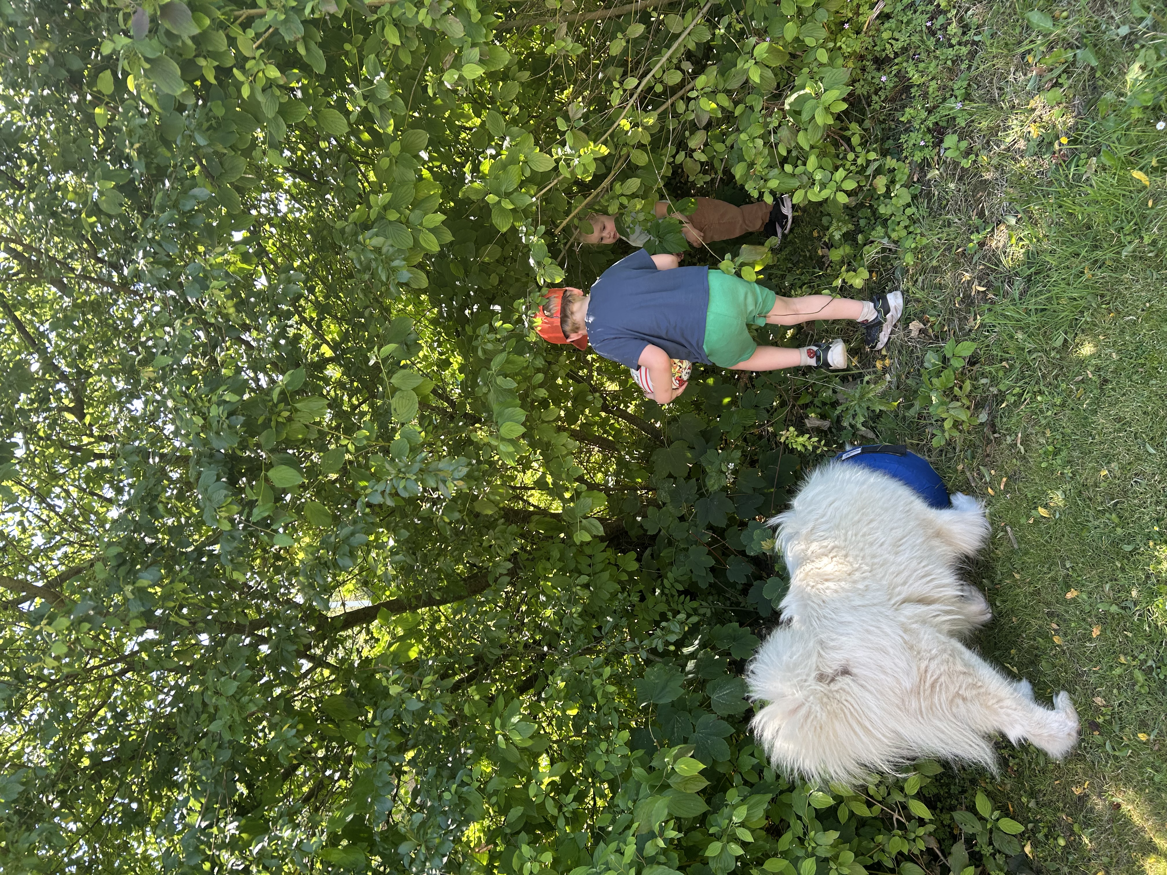 image-8