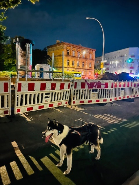 image-9