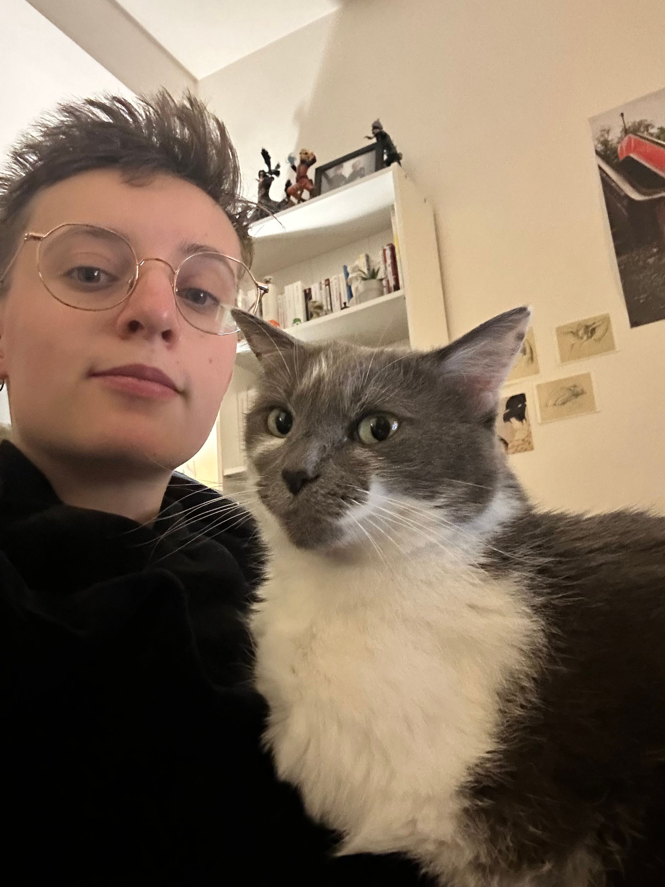 image-8