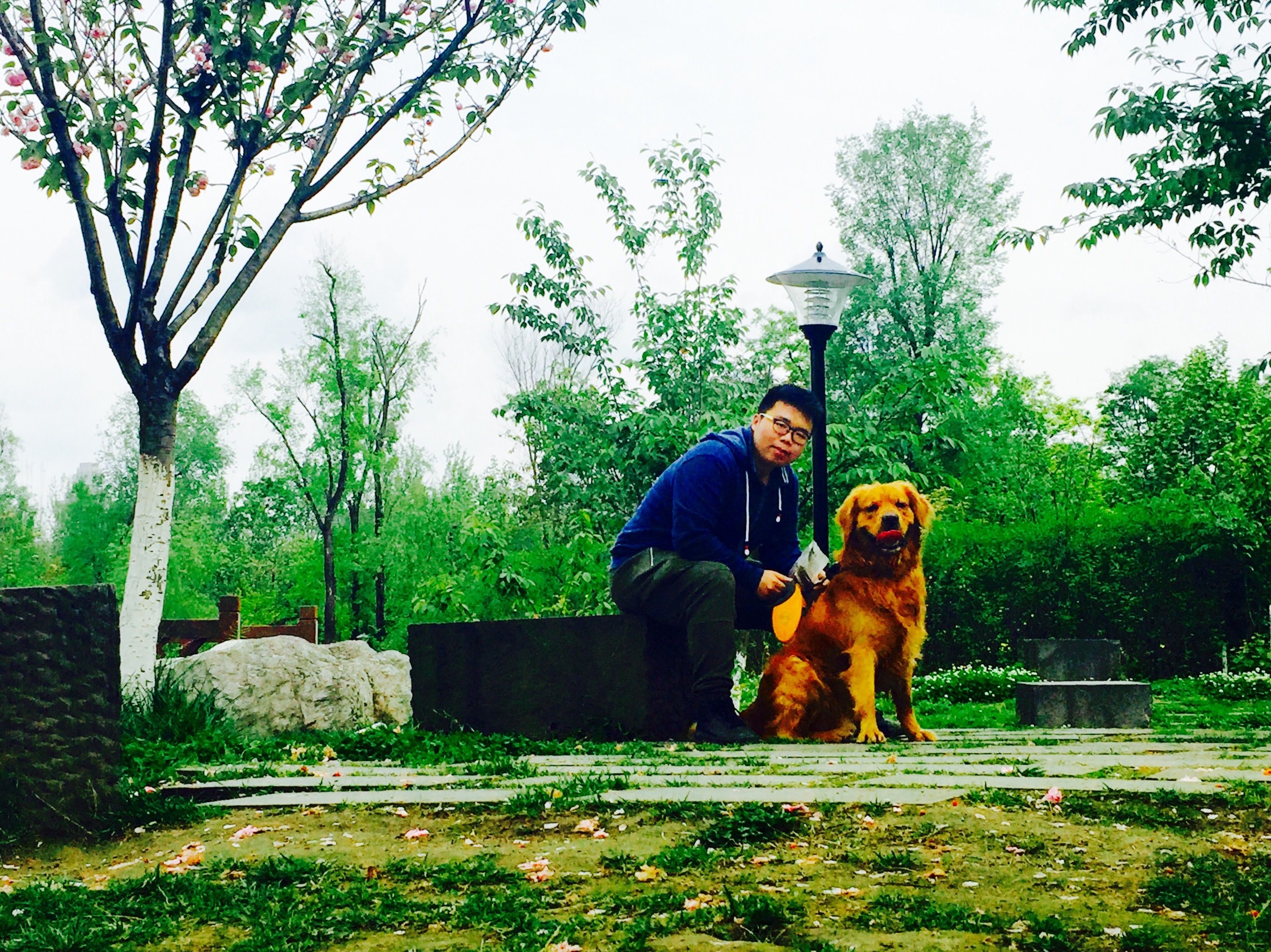 image-2