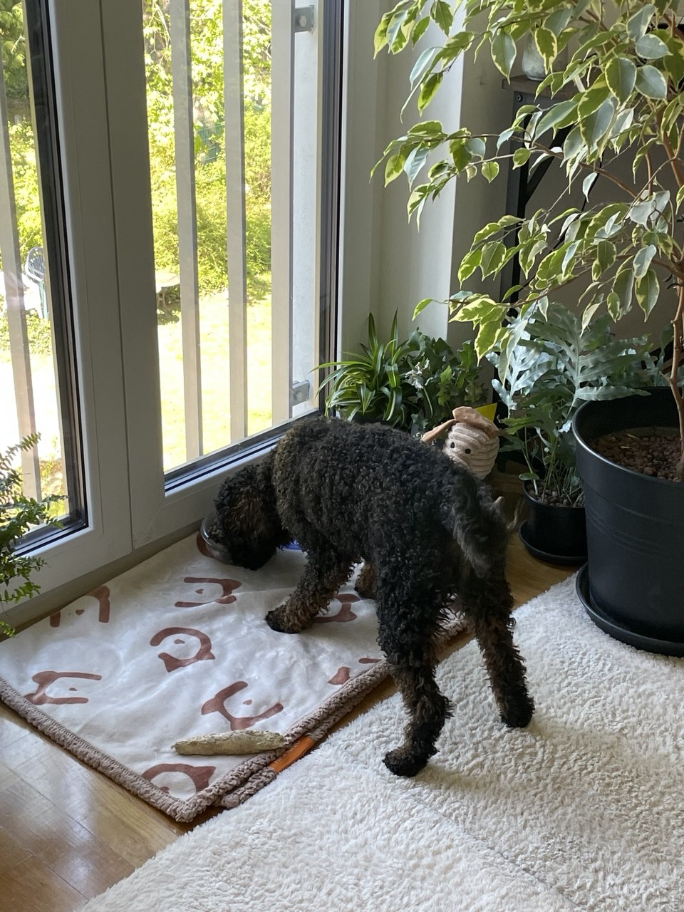 image-16