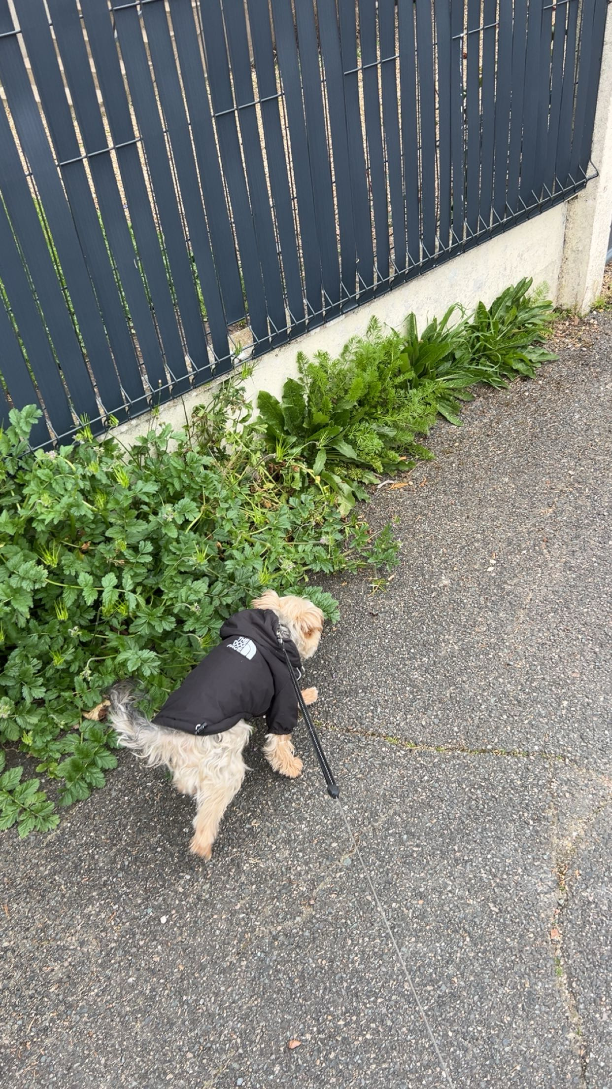 image-6