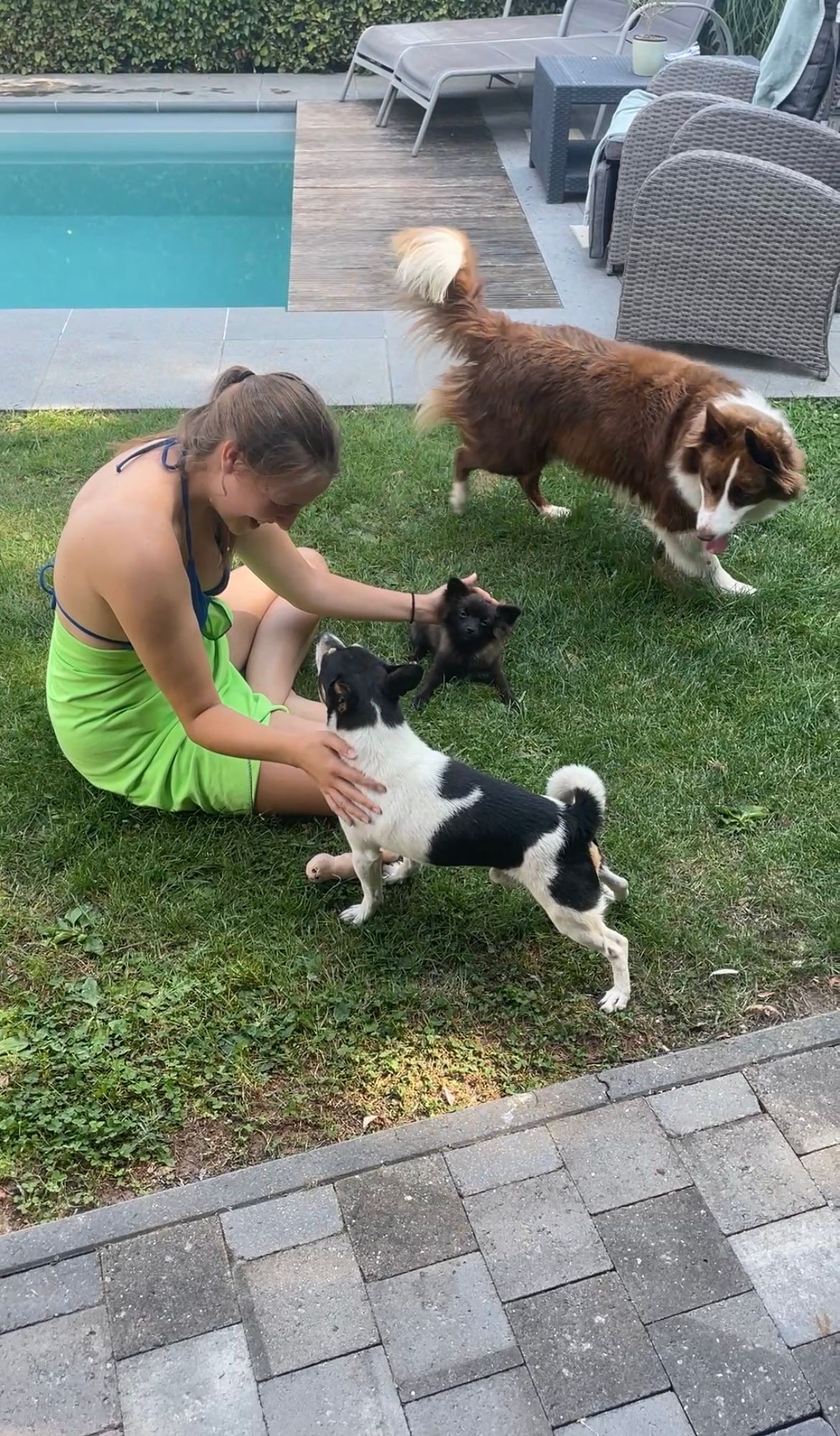 image-18