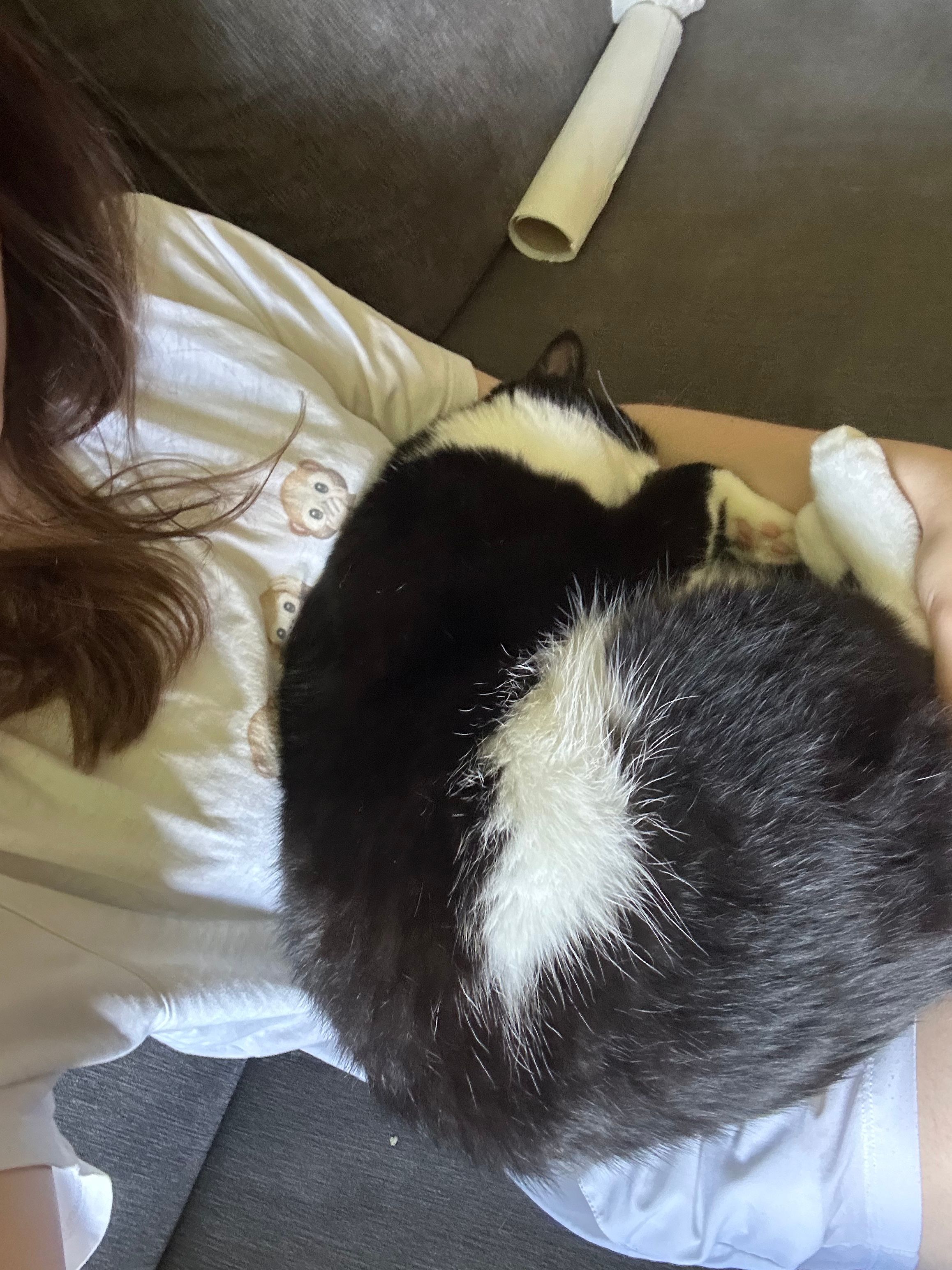 image-8