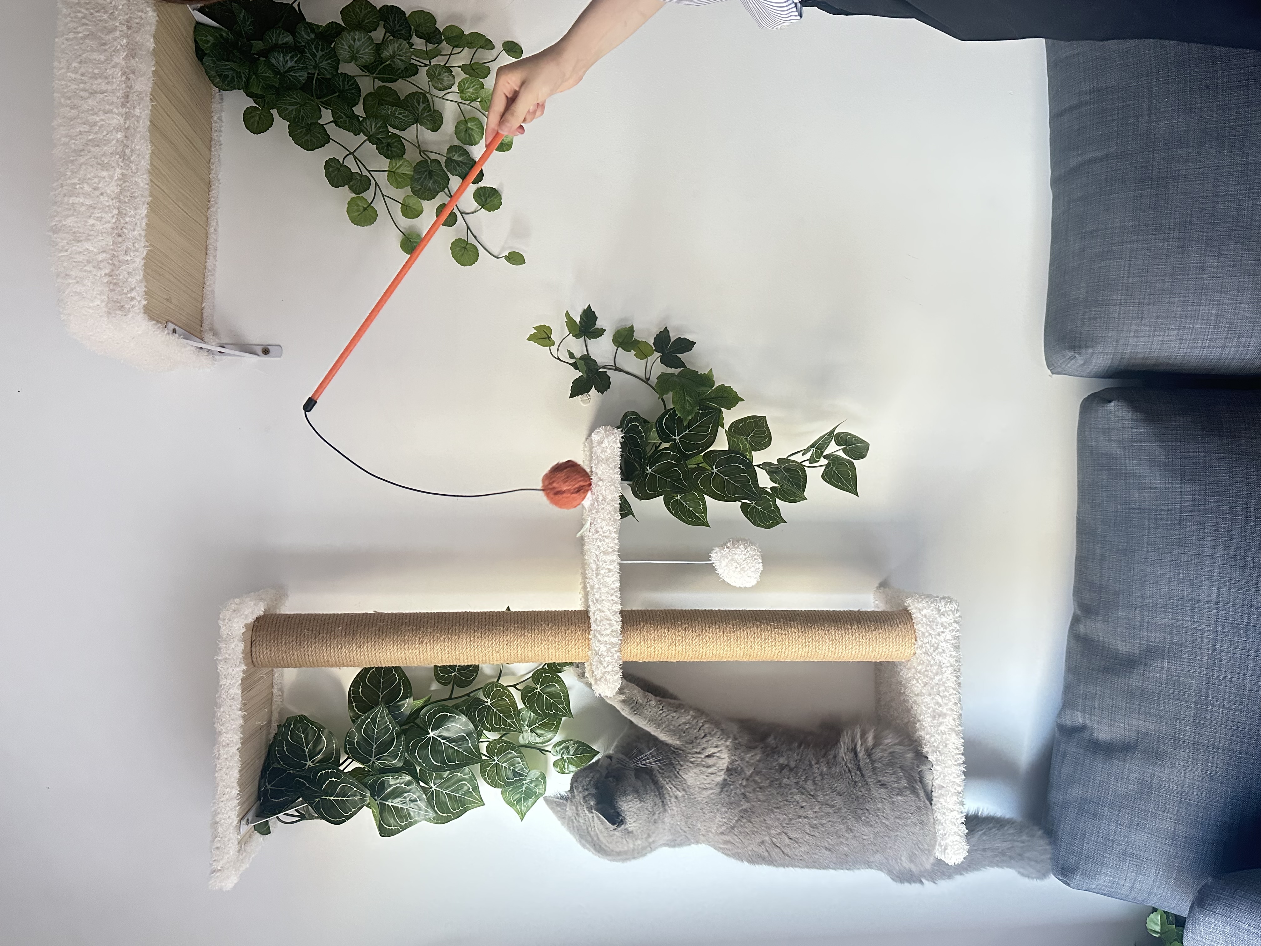 image-18