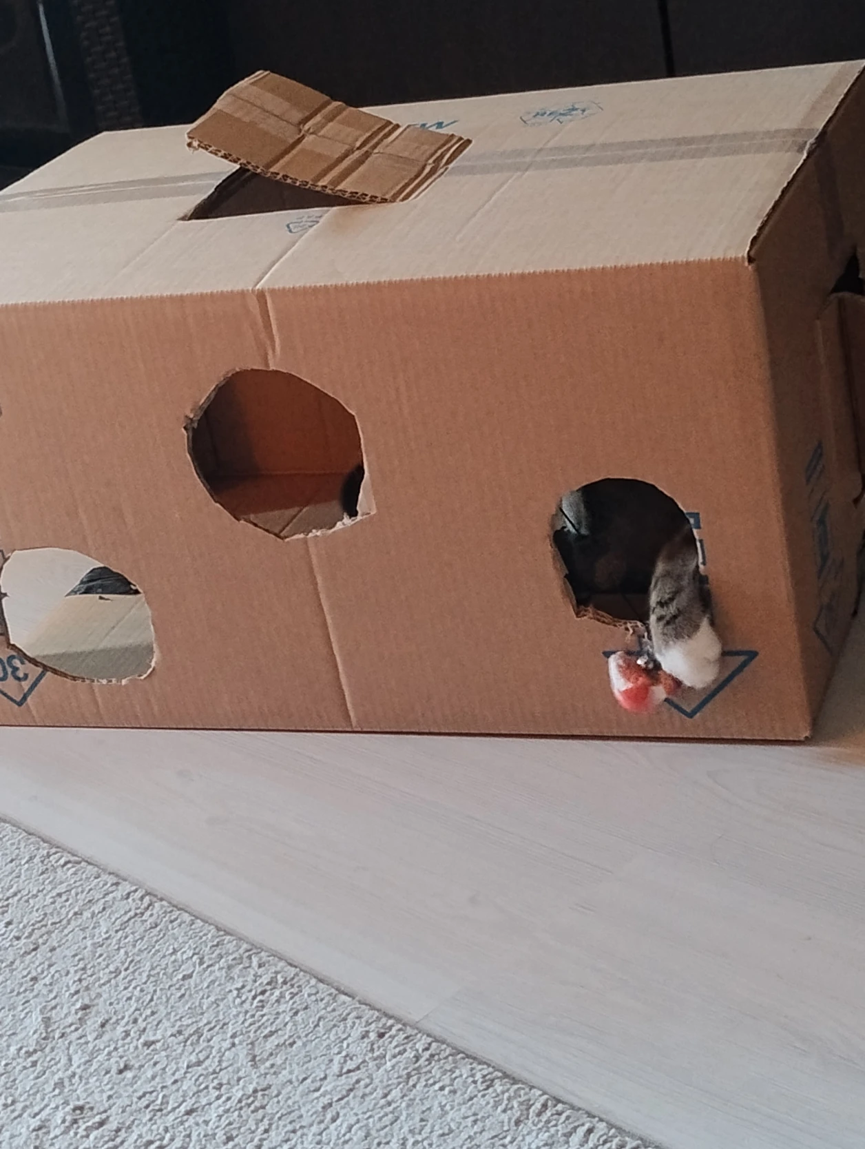 image-12